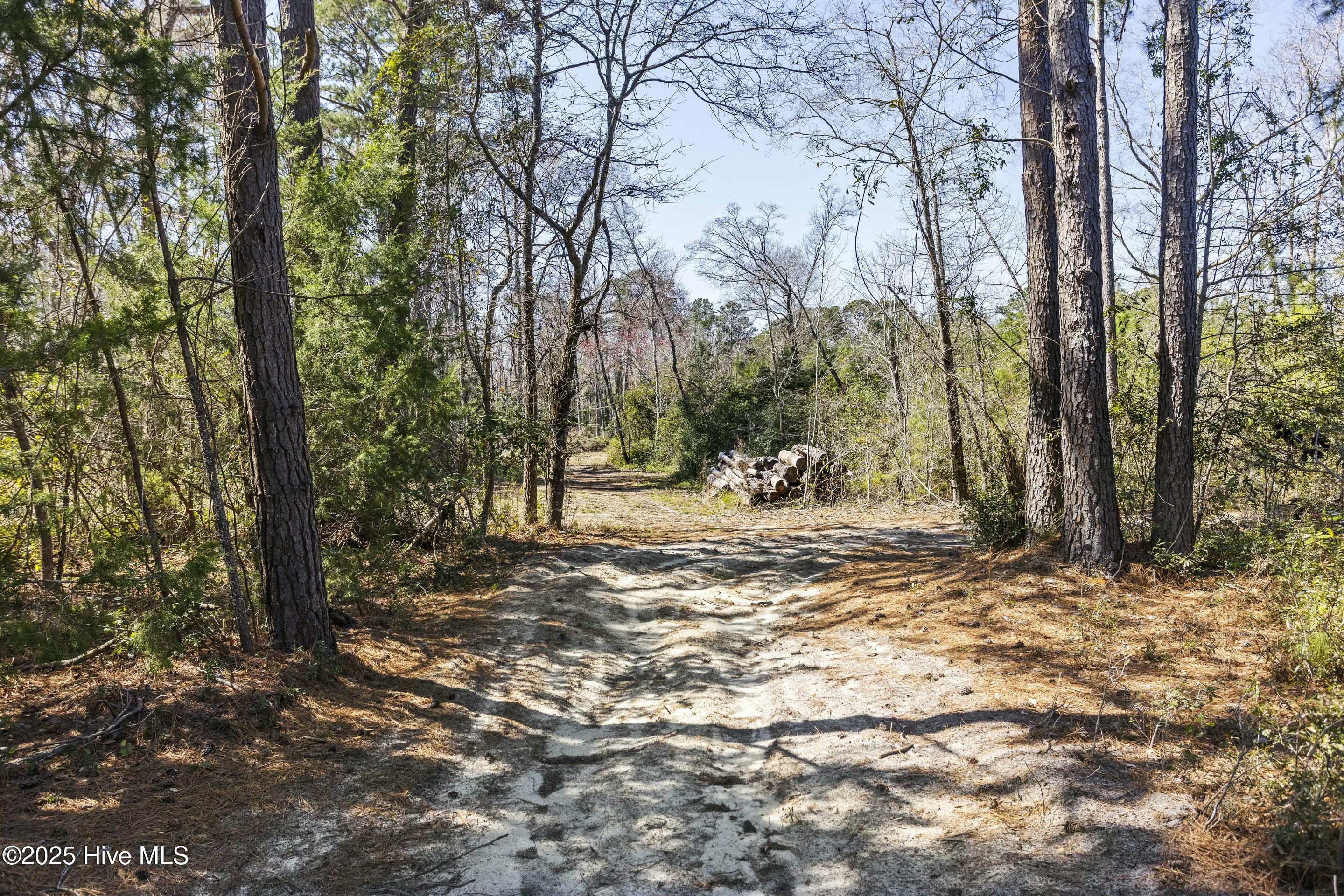 100495483 | Photo 19