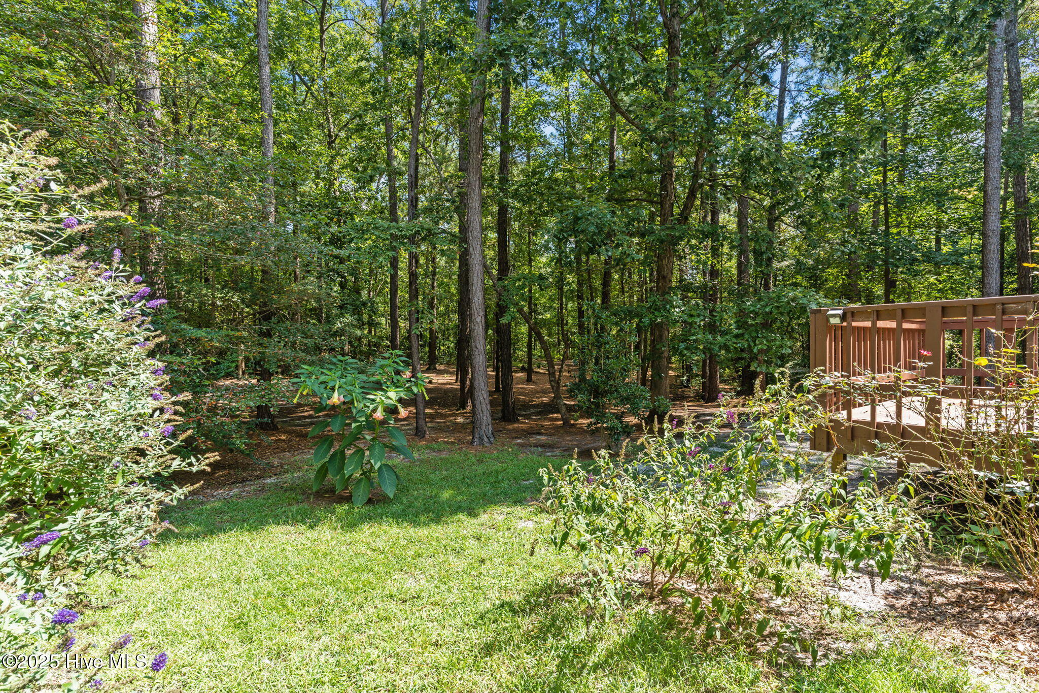 173 Live Oak Drive, Jacksonville, NC 28540 – photo 10: 13-web-or-mls-CAMMediaLLC.com (49 of 52)