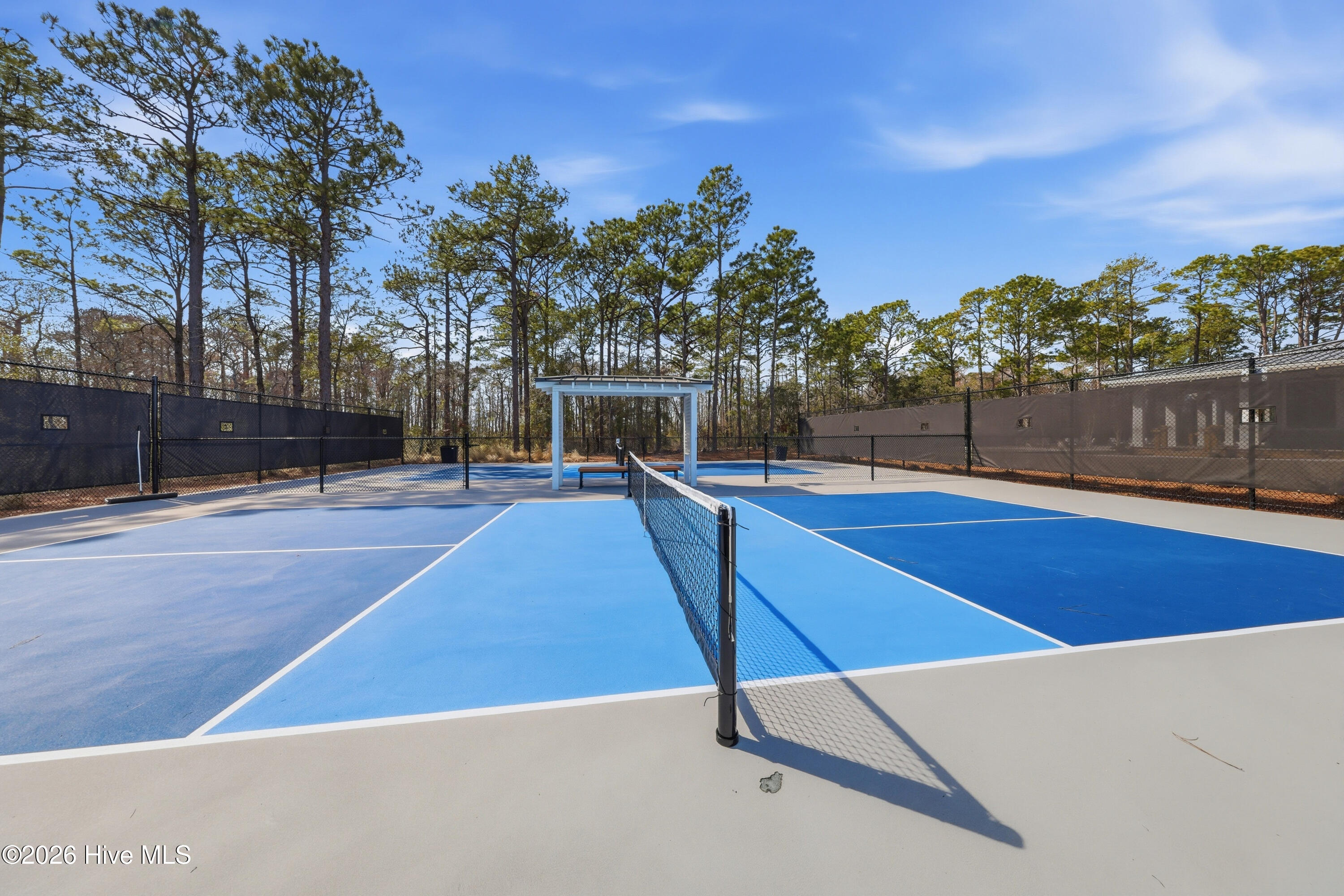 100558751 | Photo 72