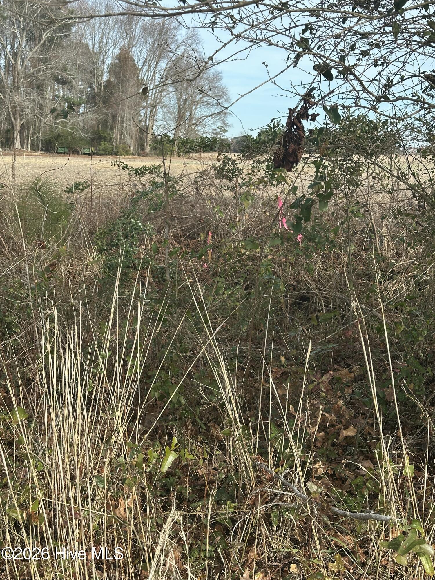 Homes for sale in Jarvisburg, NC | 2 Fisher Landing Rd, Jarvisburg, NC 27947 | MLS# 100547245