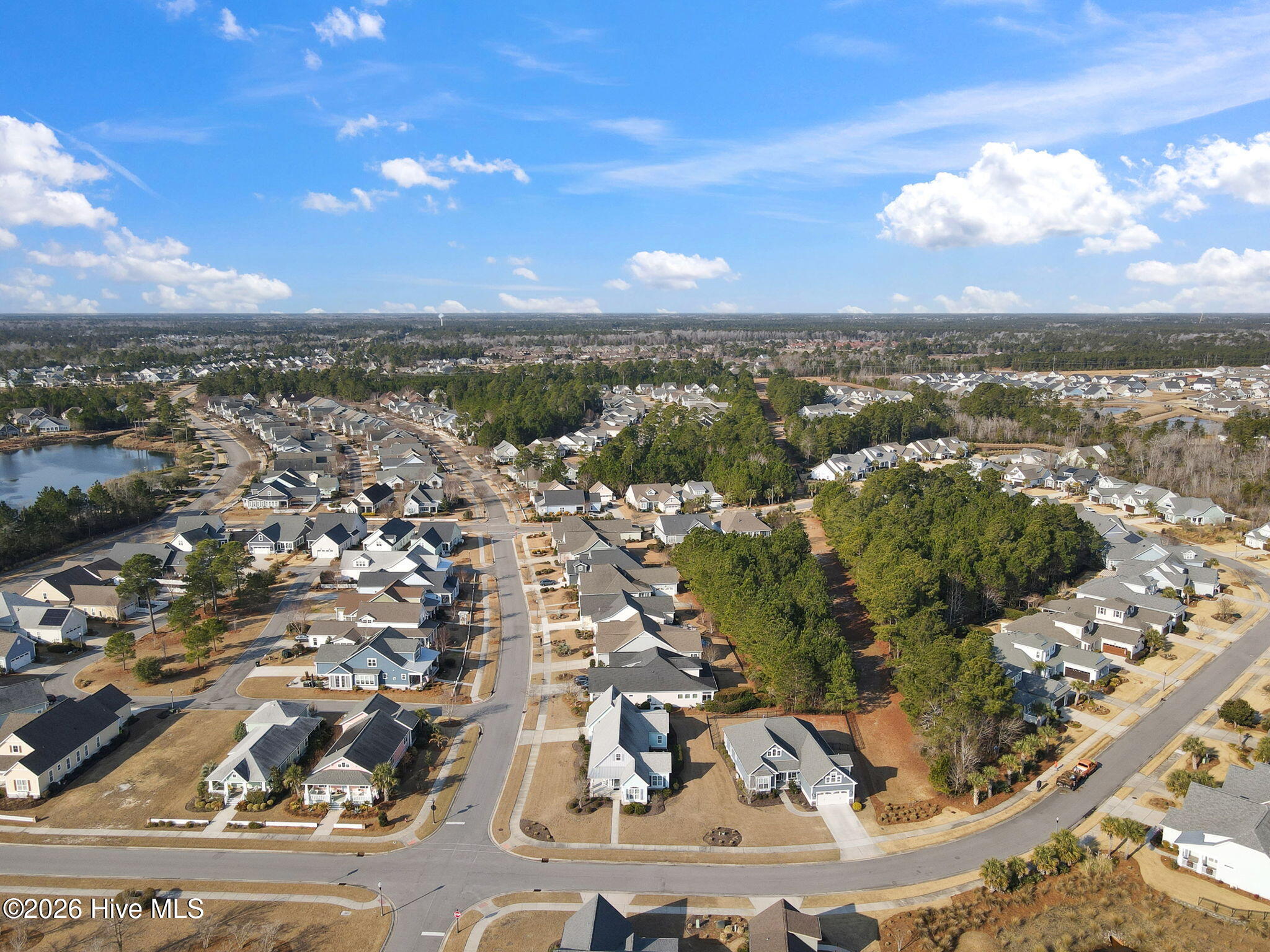 100554353 | Photo 61