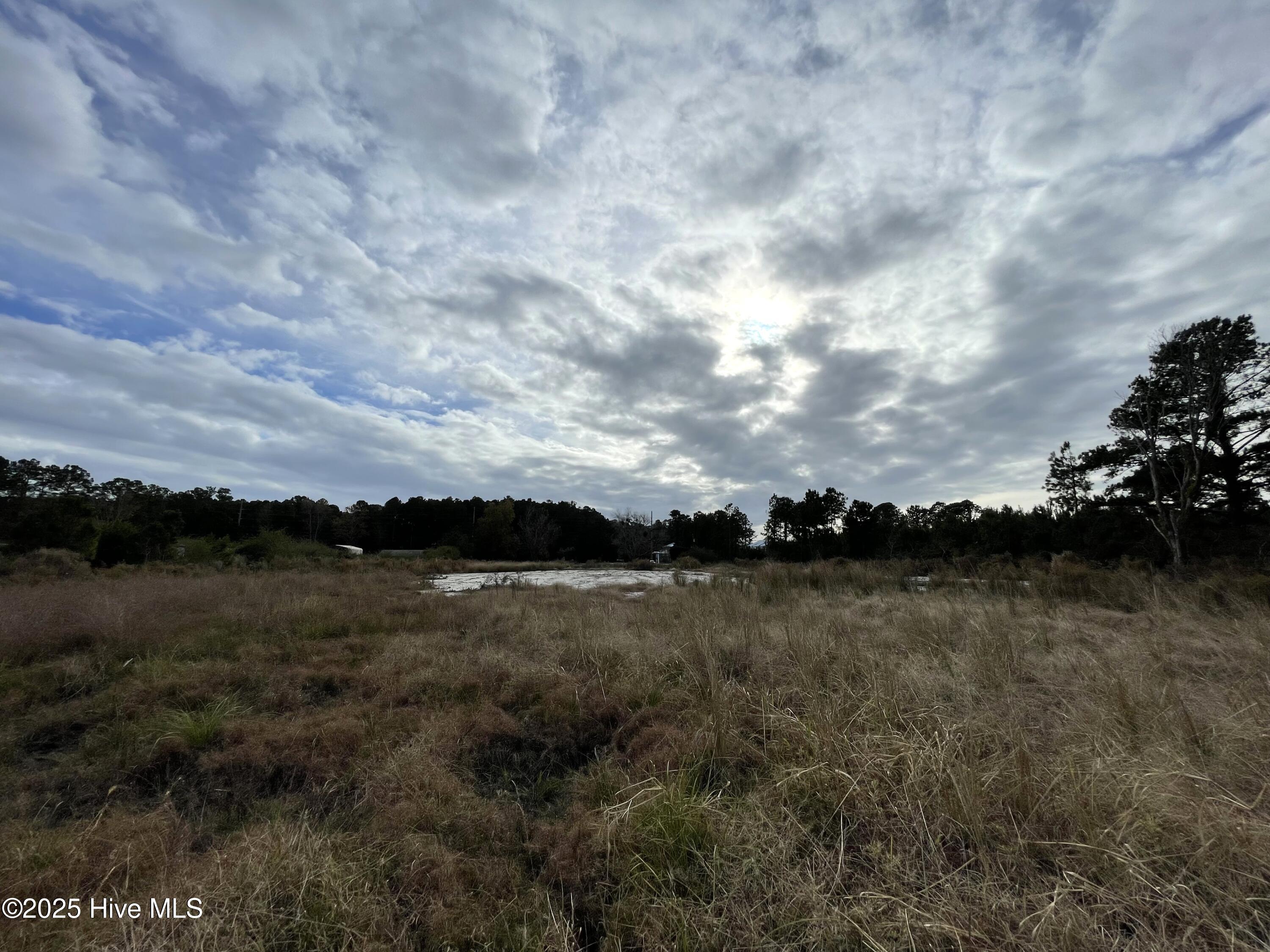 100496584 | Photo 15