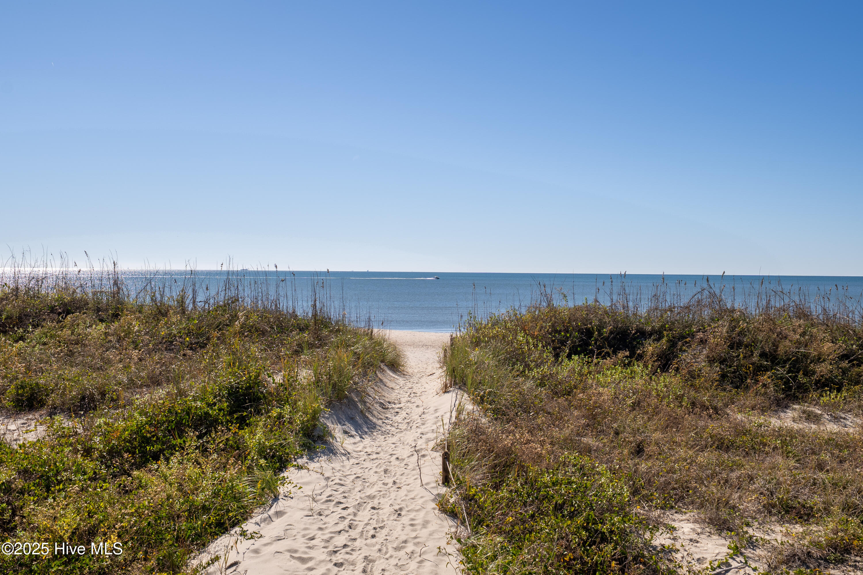 100539847 | Photo 51