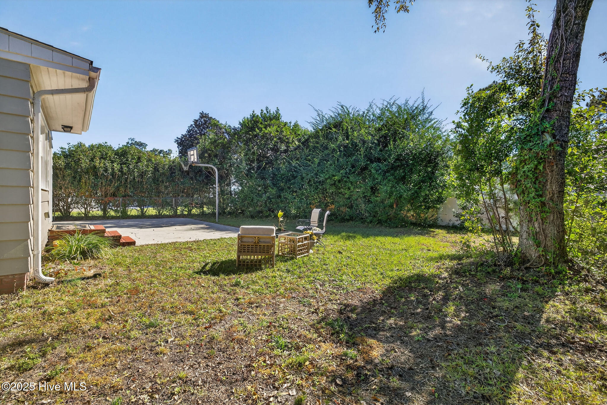 100539754 | Photo 39