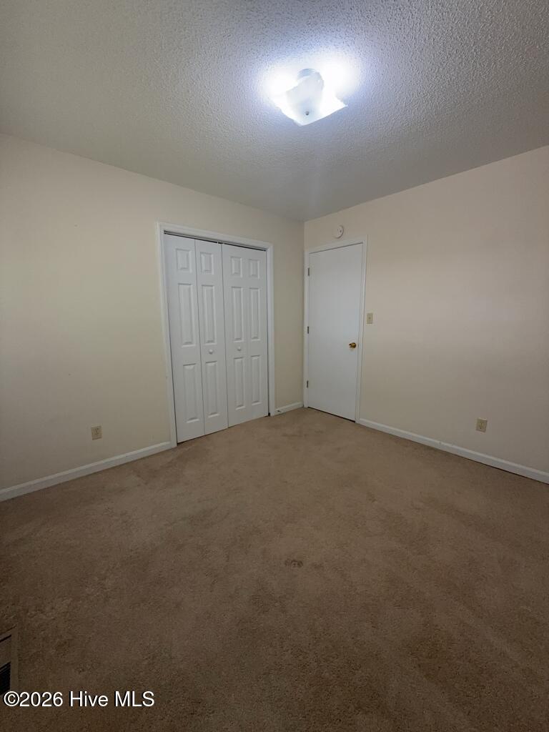 100567507 | Photo 10