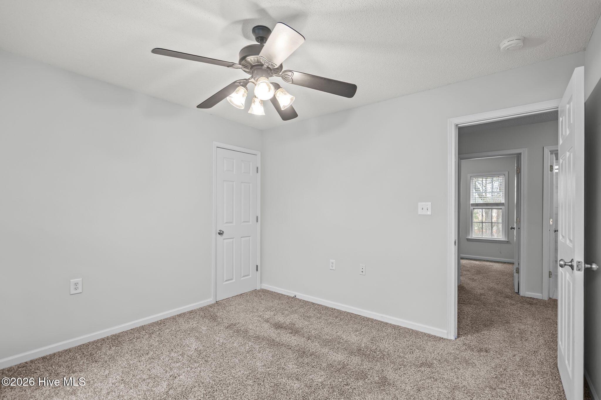 100558076 | Photo 35