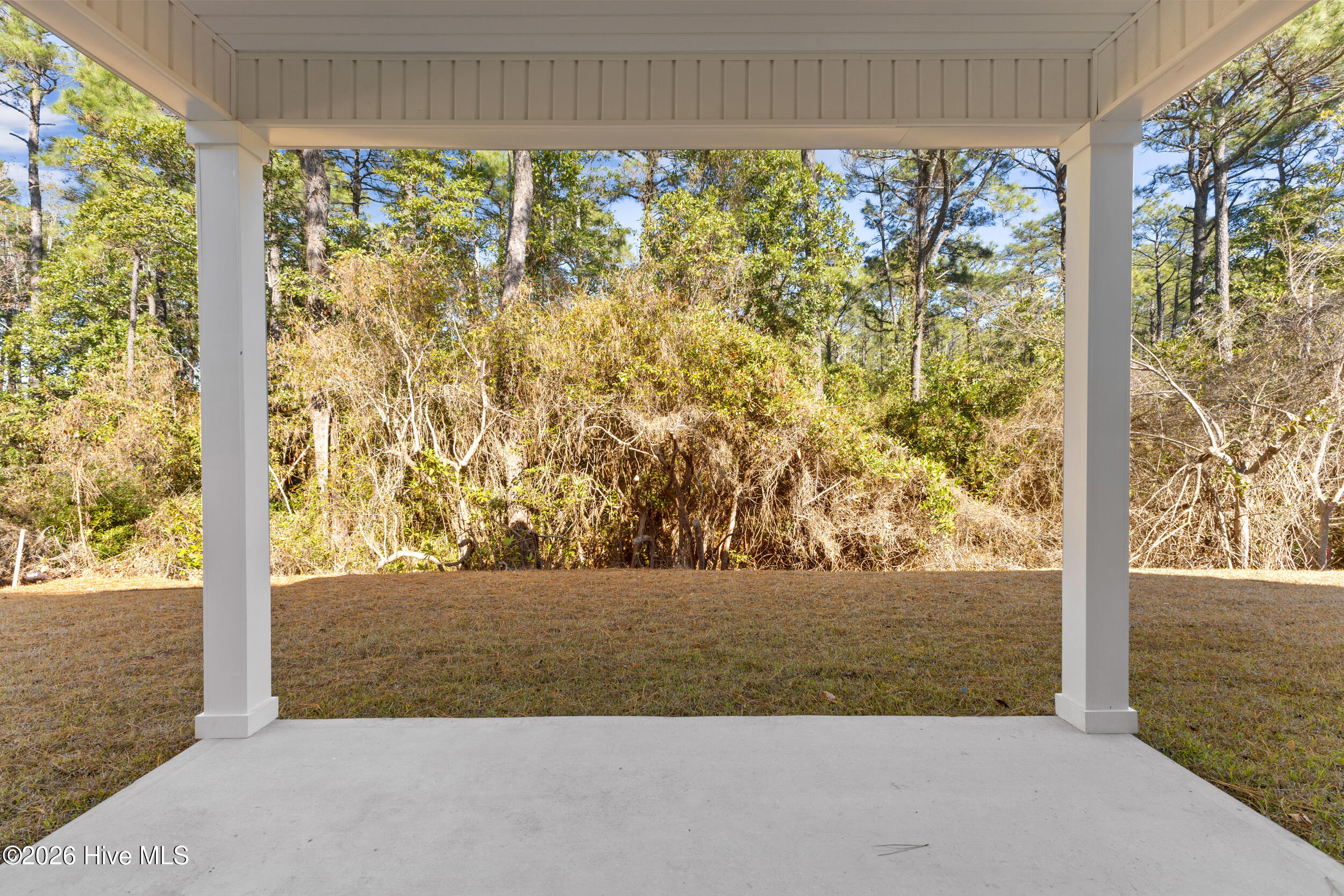 100549765 | Photo 31