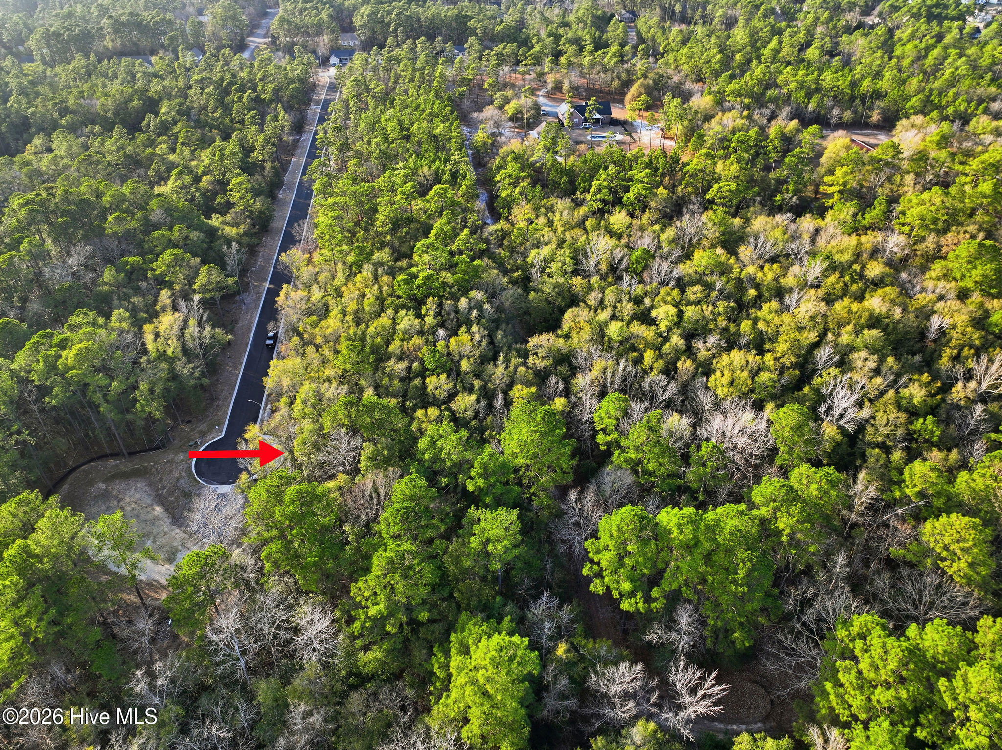 100556106 | Photo 11