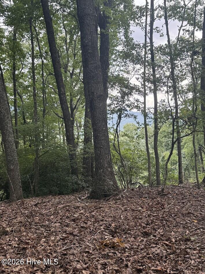 Exterior photo of Lot 43 Pine Cove Lane, Murphy, NC 28906. MLS: 100591281