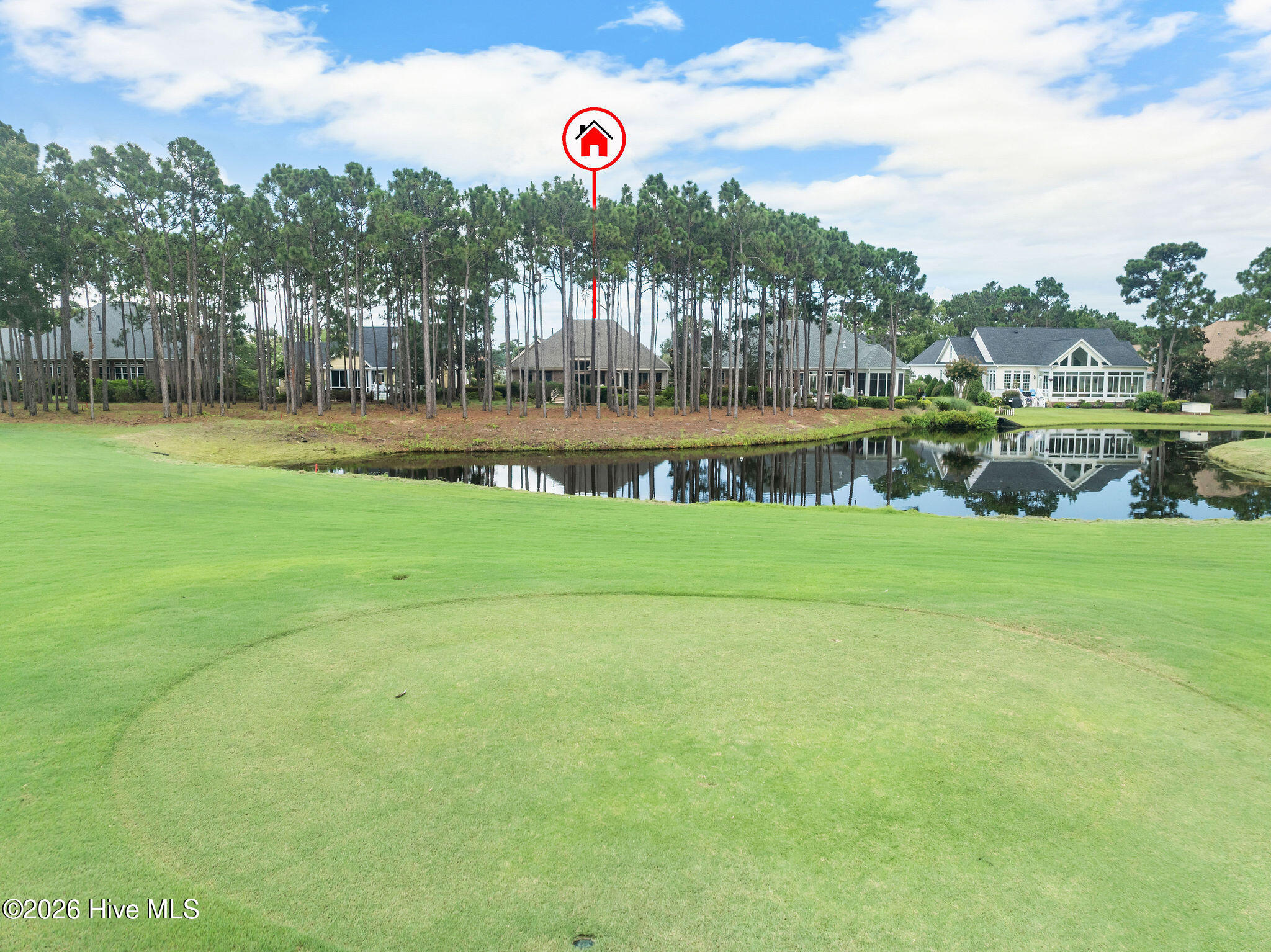 100548545 | Photo 72