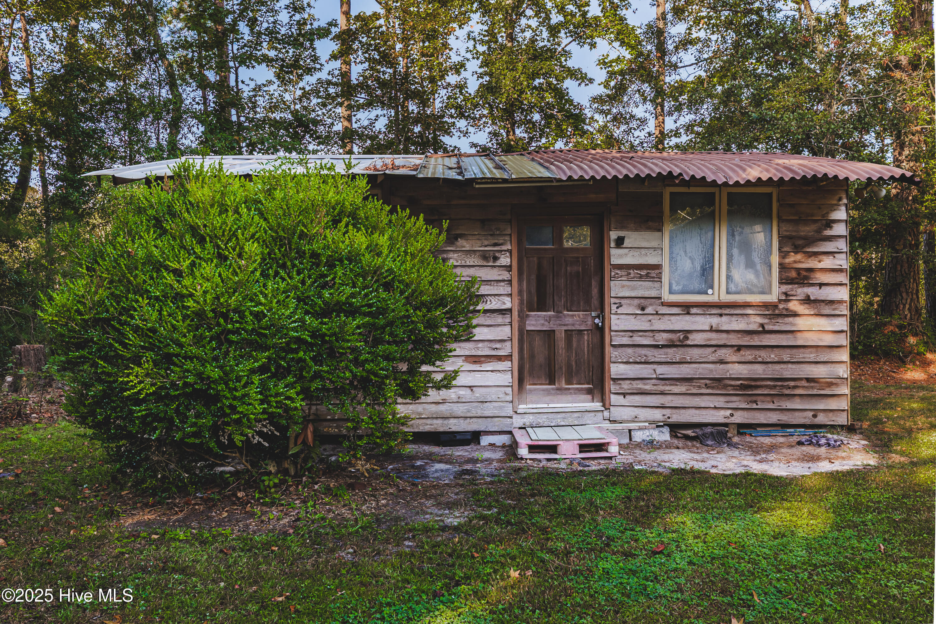 100535139 | Photo 10