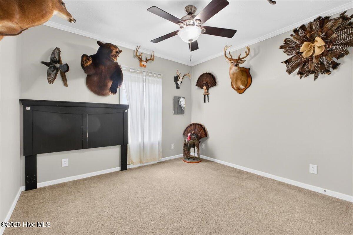 100551203 | Photo 32