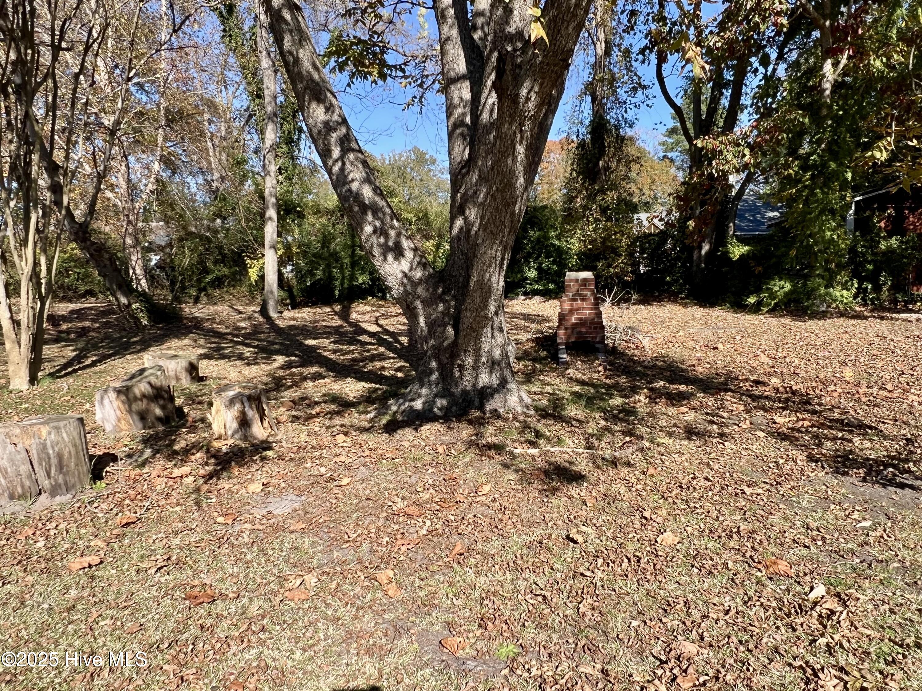 Homes for sale in Washington, NC | 314 E 9th St, Washington, NC 27889 | MLS# 100542967