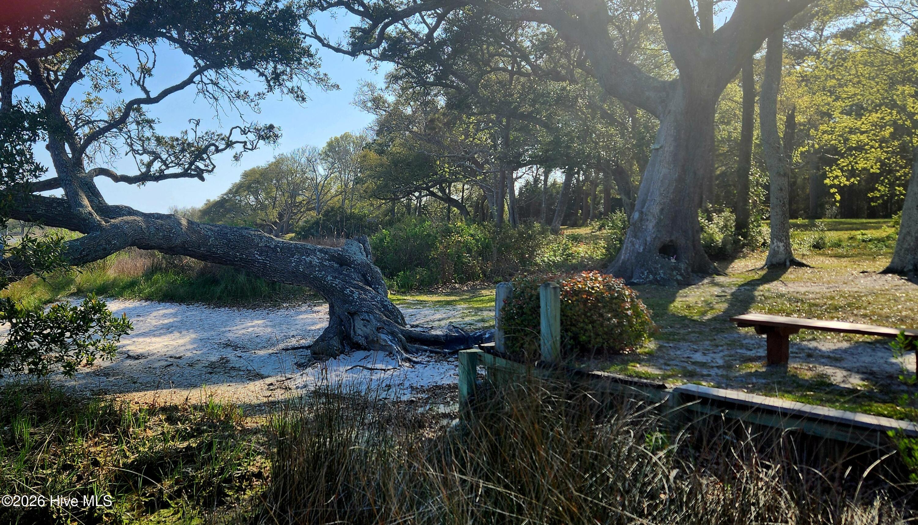 100563795 | Photo 10