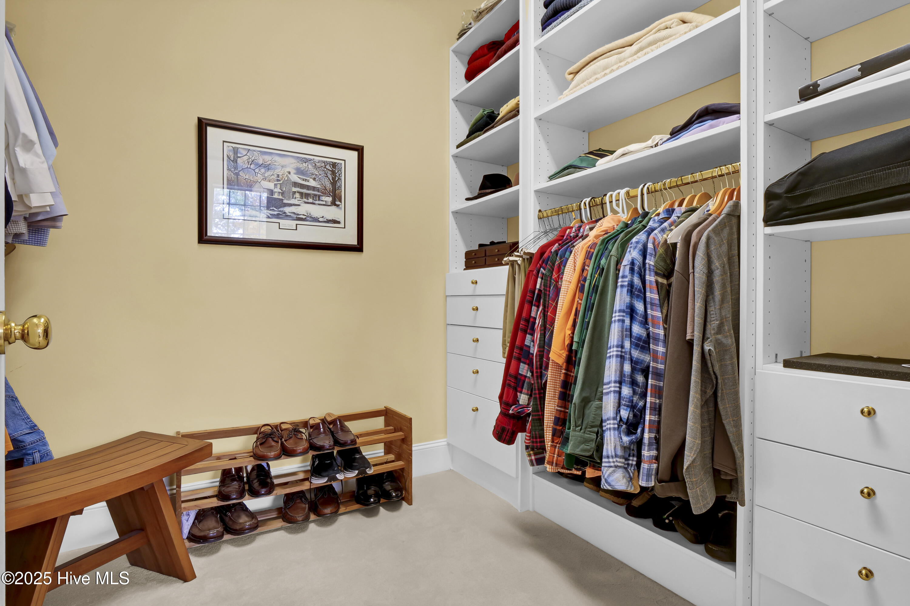 100559823 | Photo 32