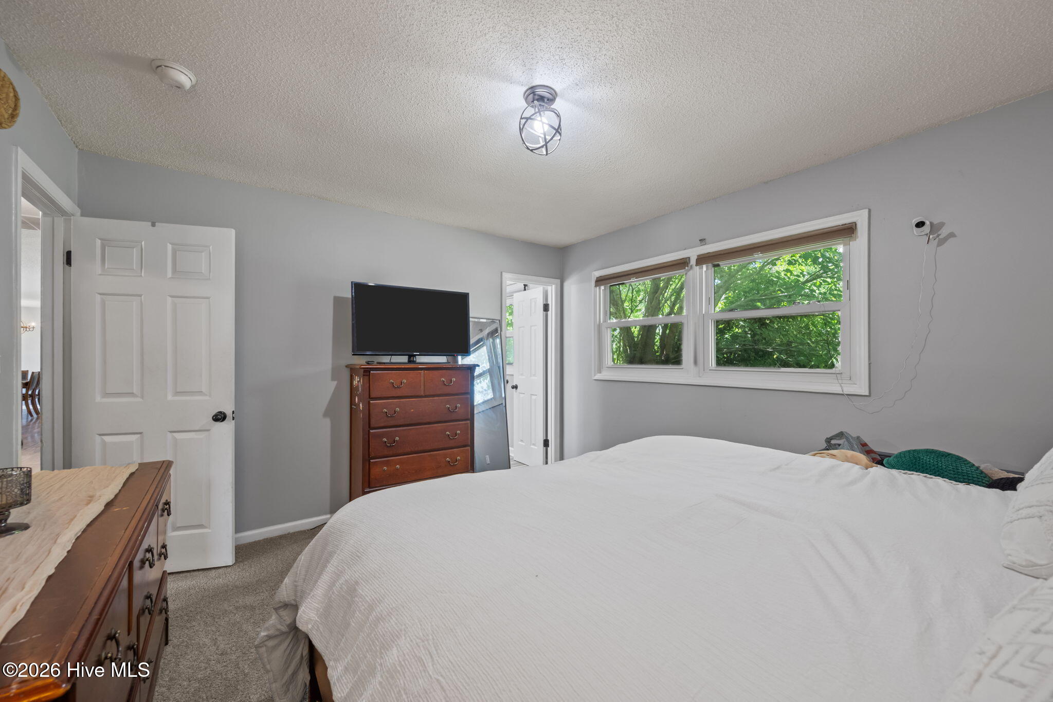 100569028 | Photo 34