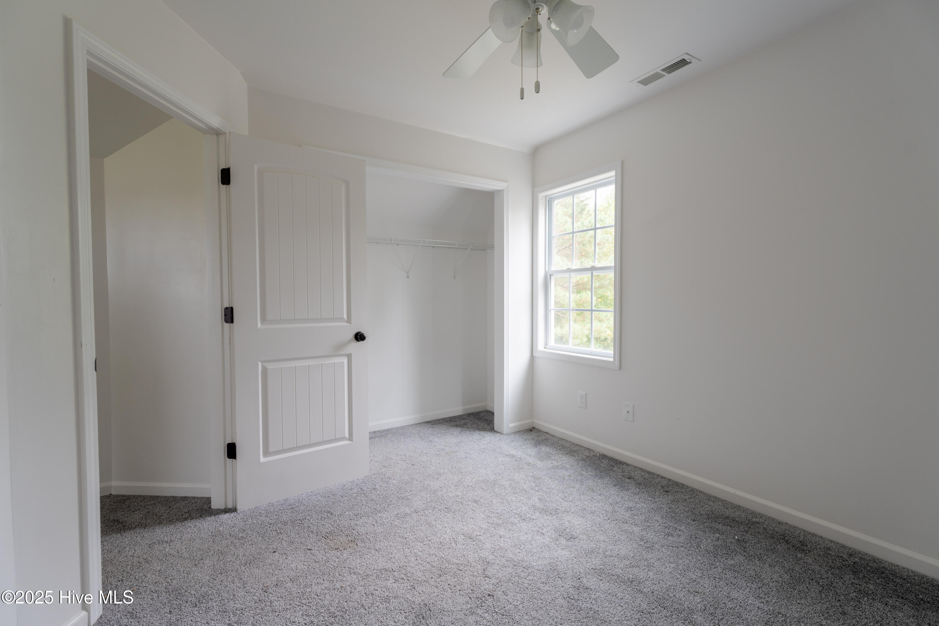 100536355 | Photo 18