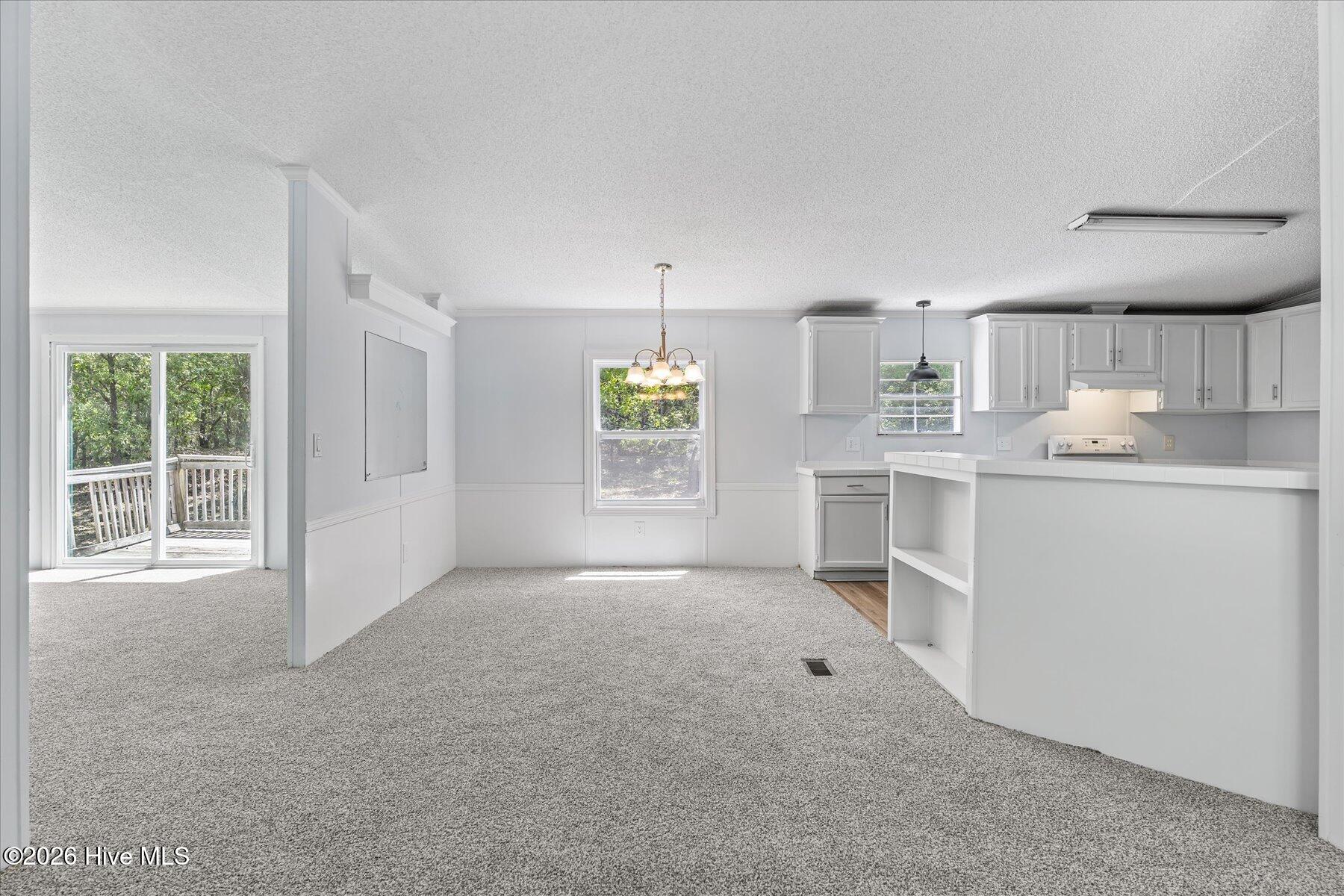 100567568 | Photo 15