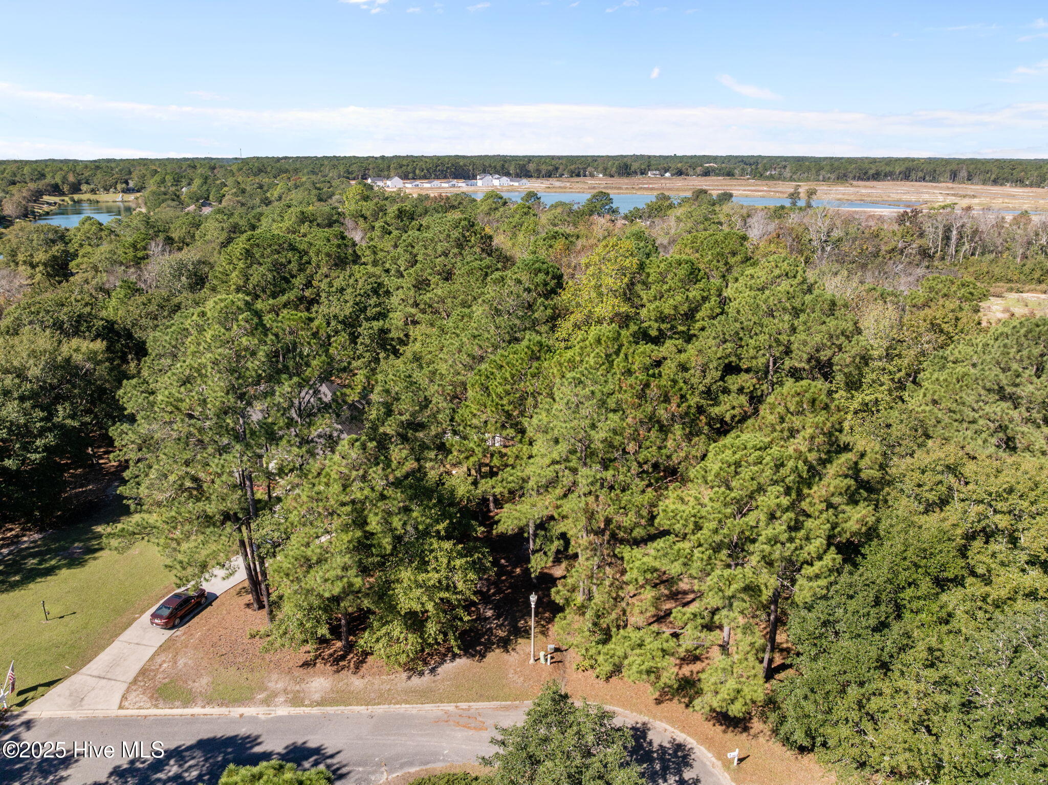 100537620 | Photo 15