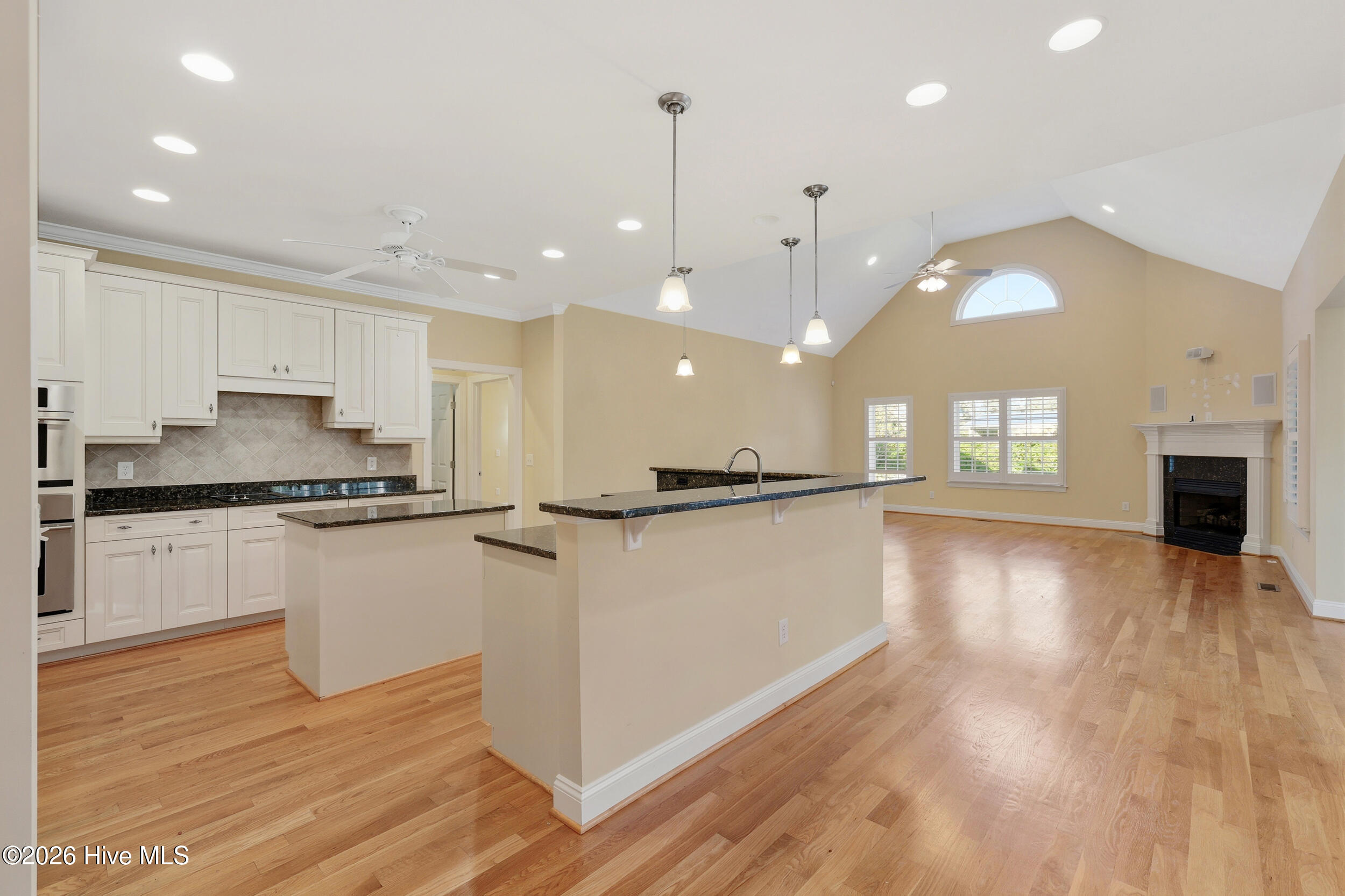 100567096 | Photo 19