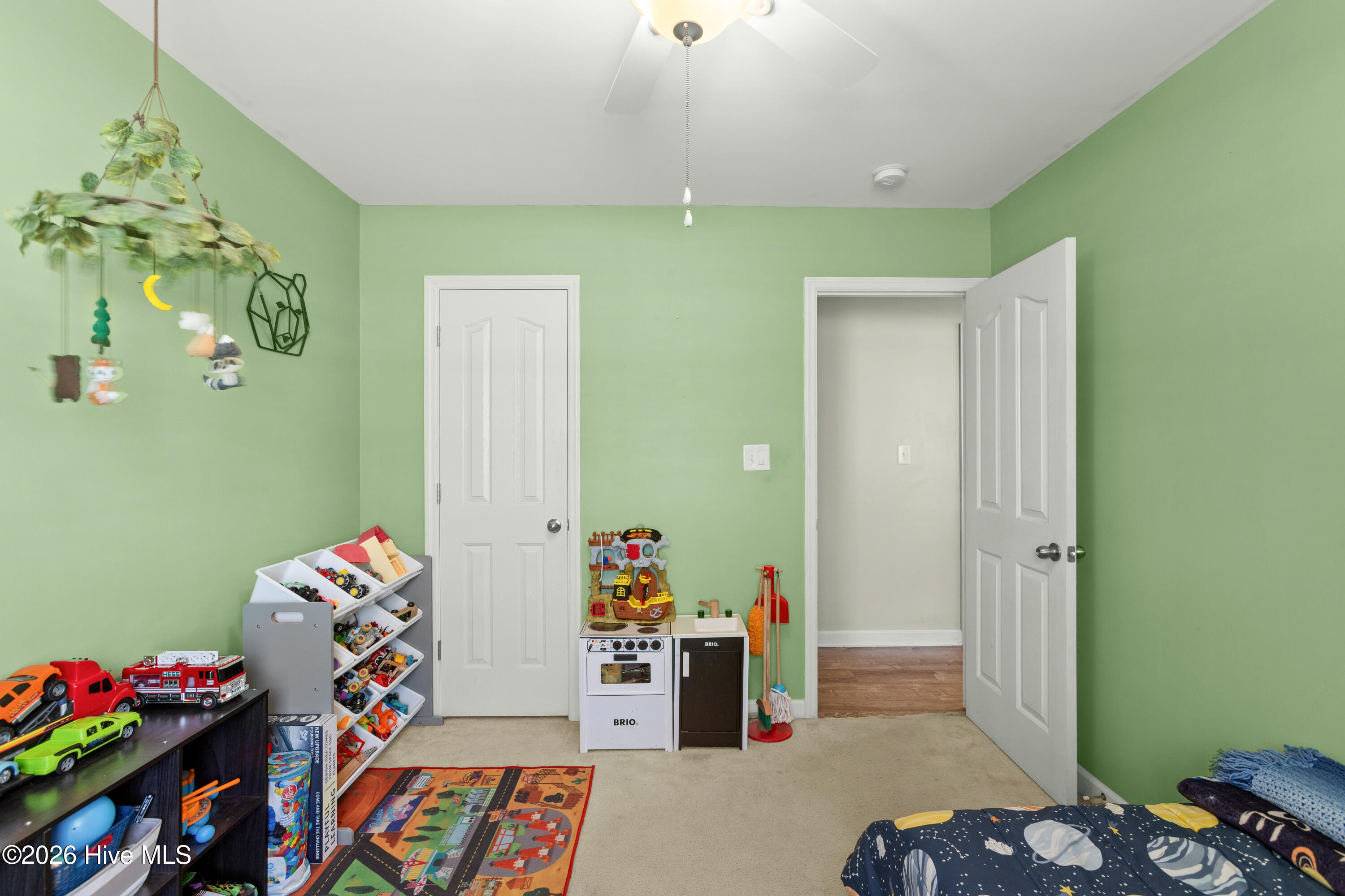 100562939 | Photo 15