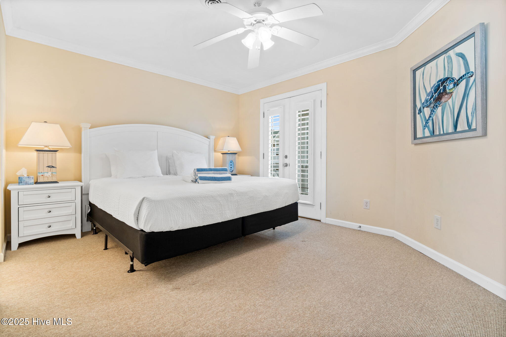 100498196 | Photo 49