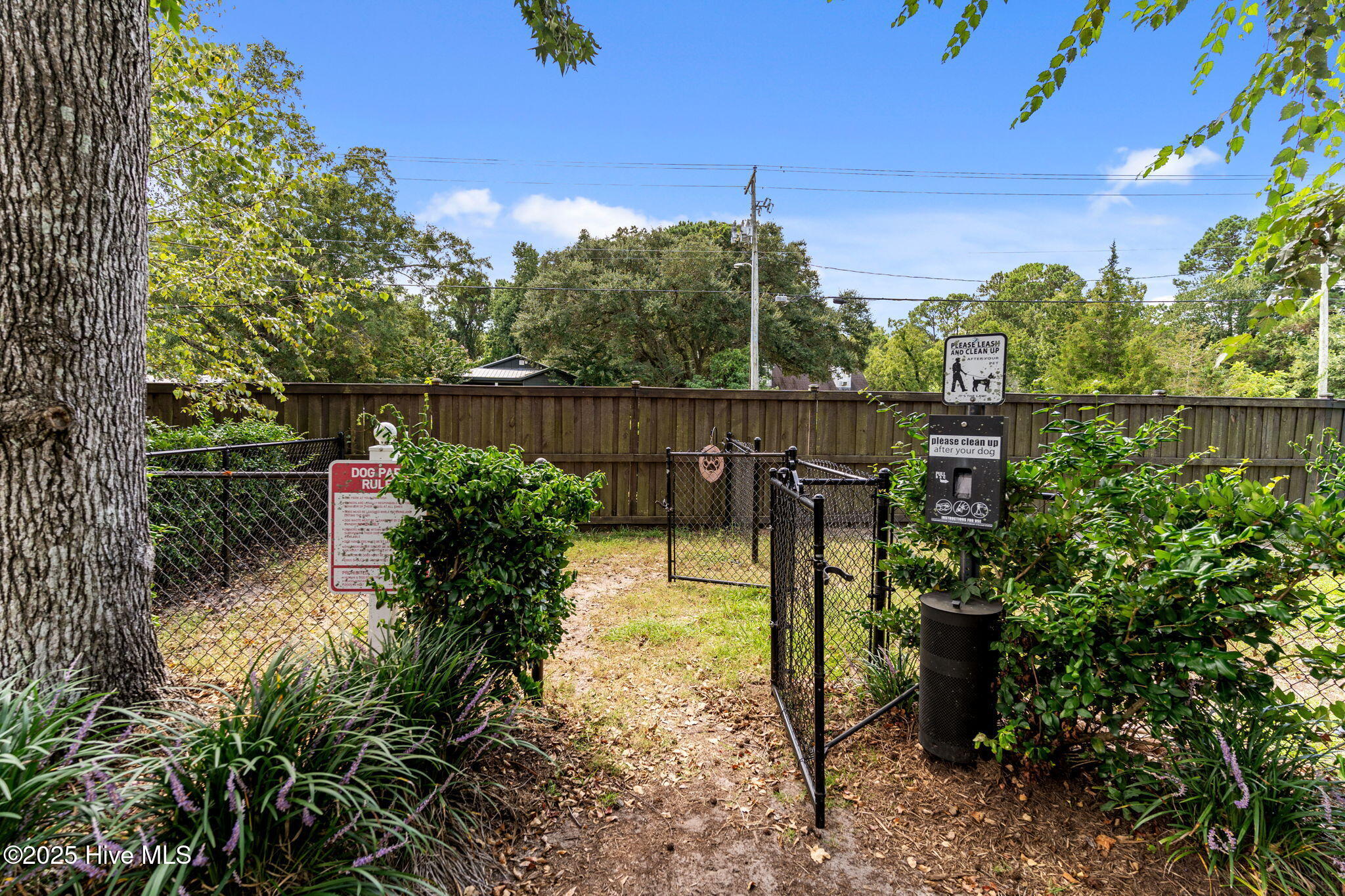 100526886 | Photo 47