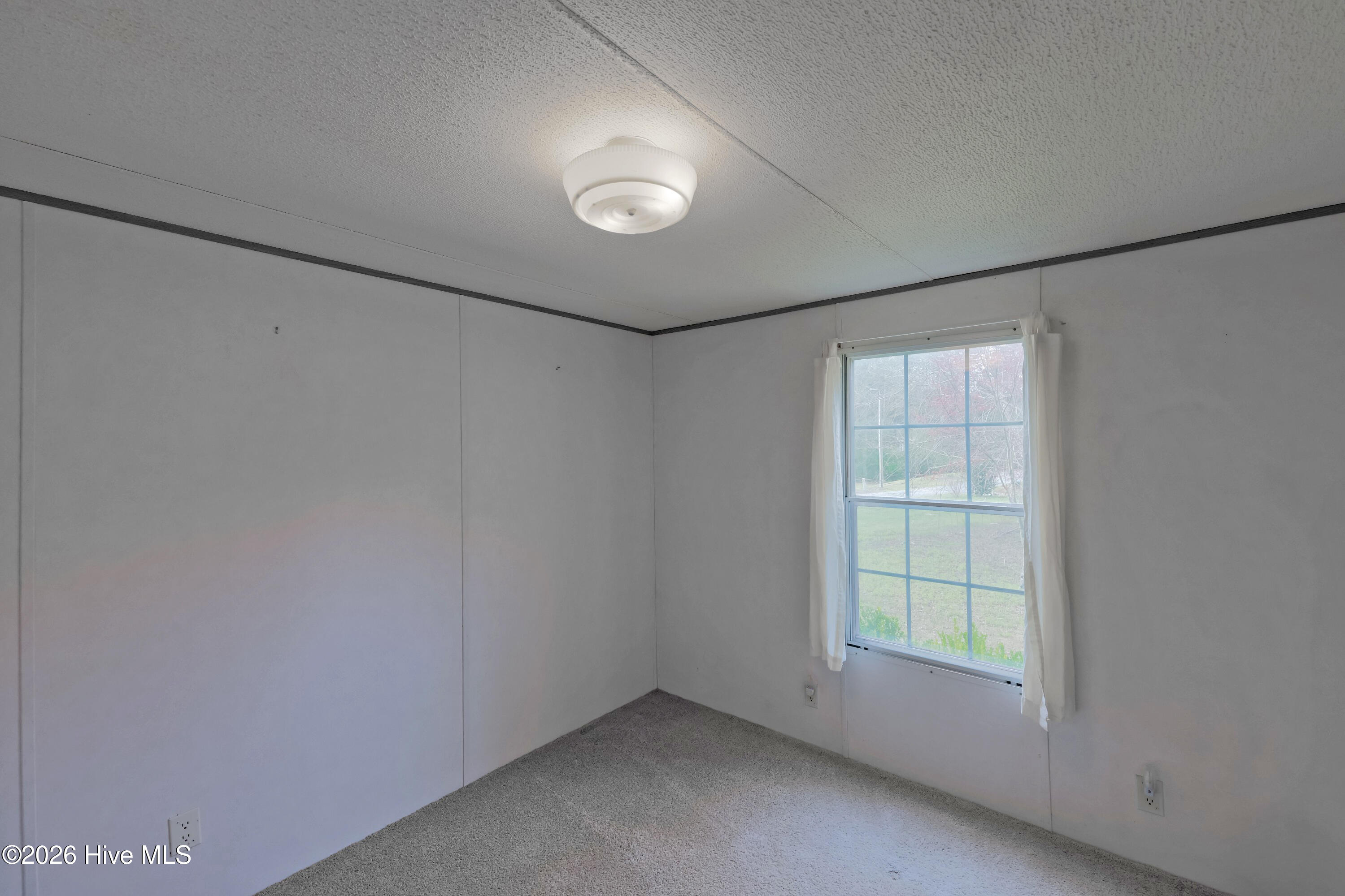 381 Washington Creek Drive, Willard, NC 28478 – photo 12: _K6A0021-2 (Custom)