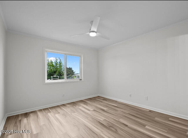 100549985 | Photo 14