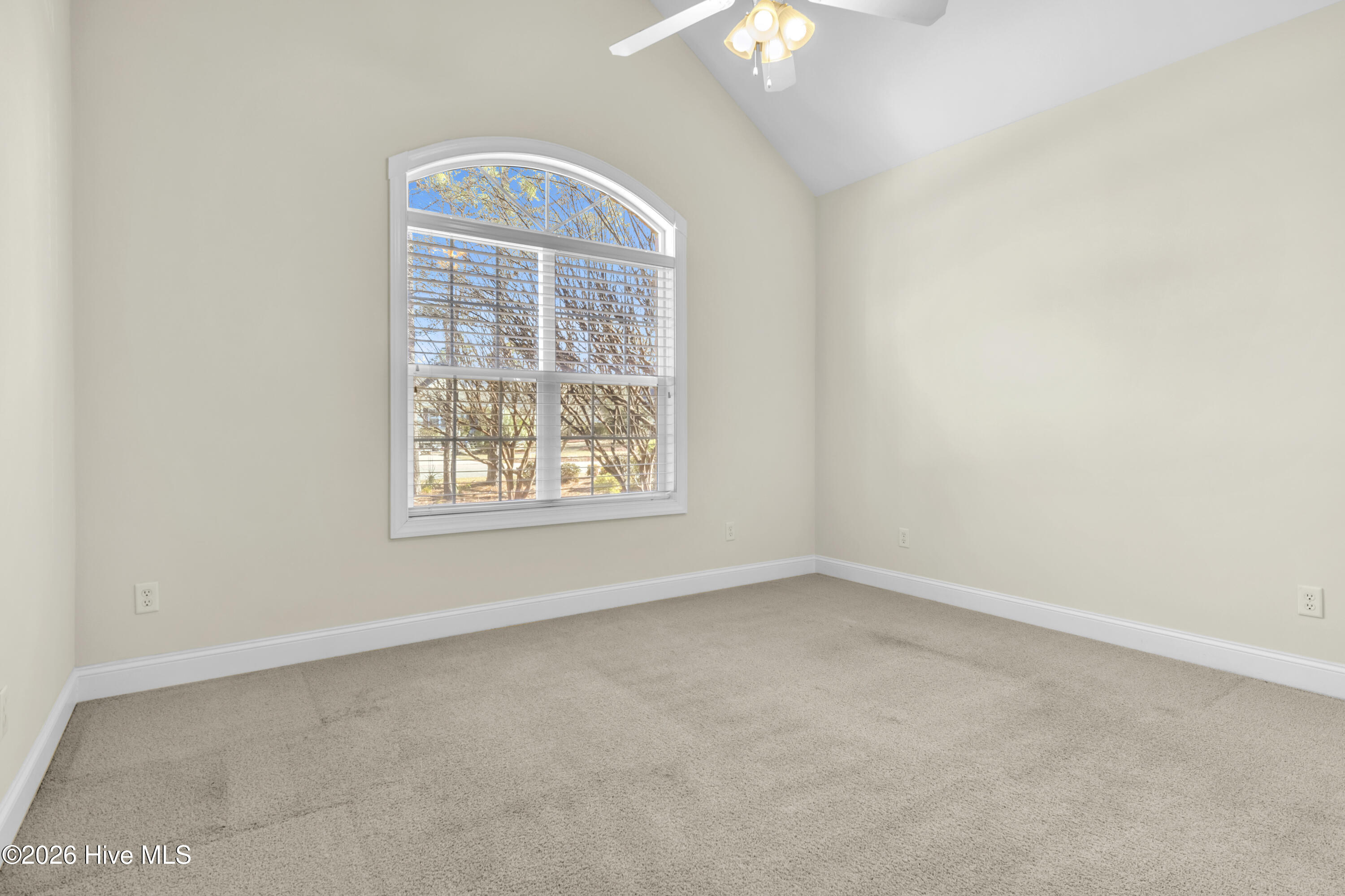 100549882 | Photo 28