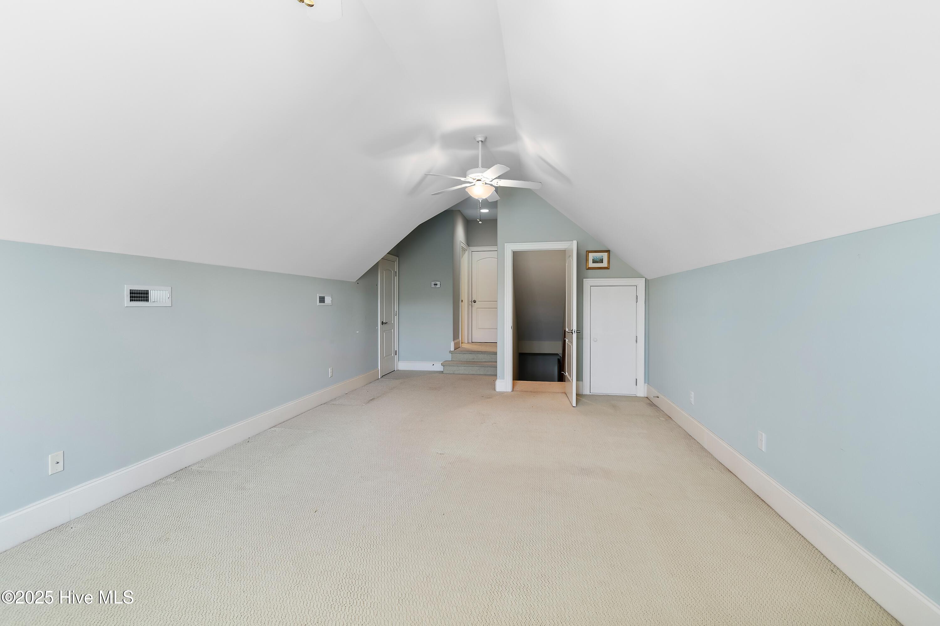 100504697 | Photo 41