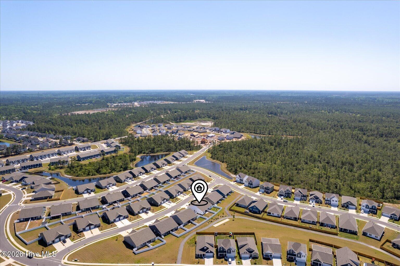 100568001 | Photo 50