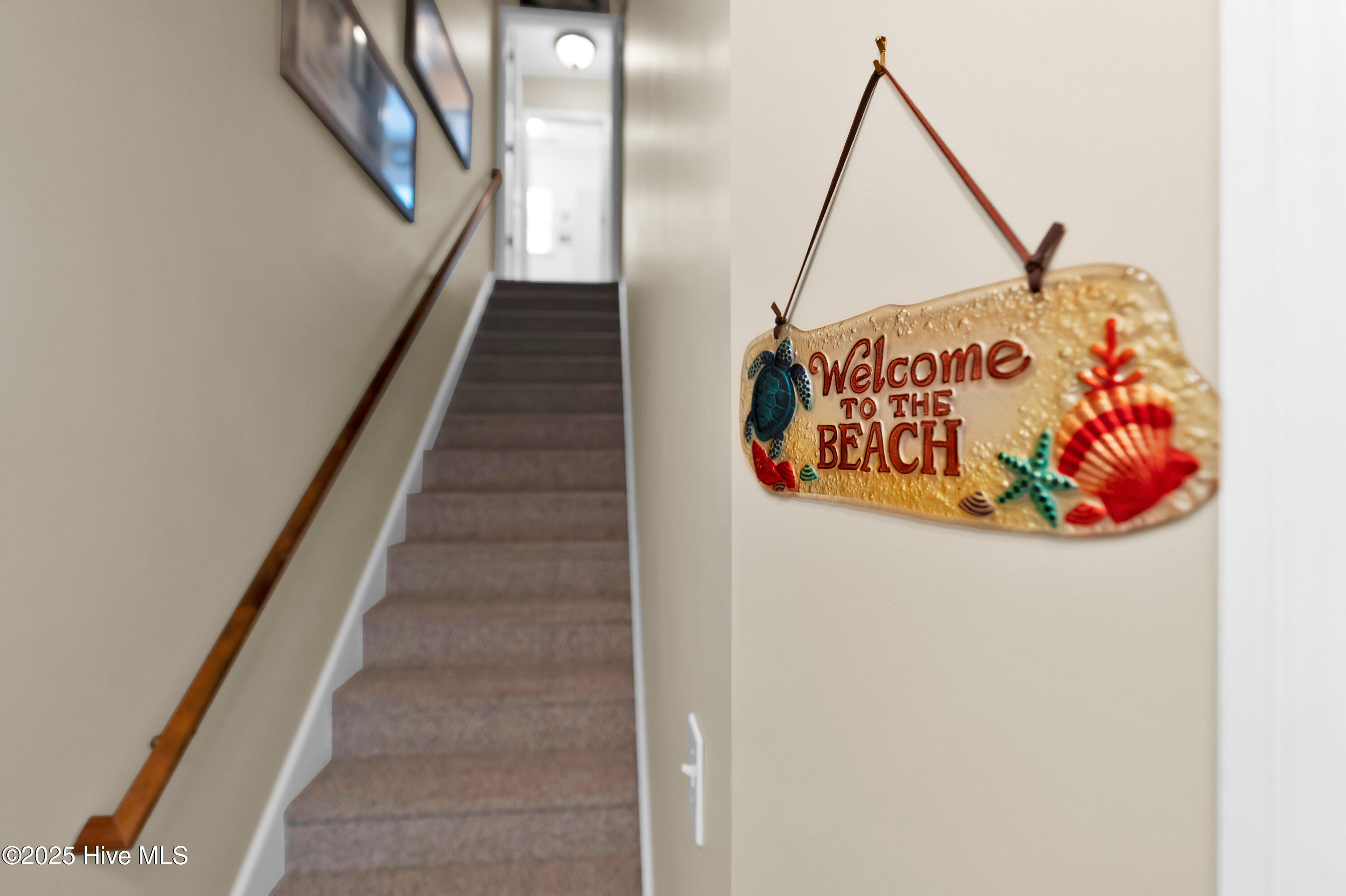 100530554 | Photo 42