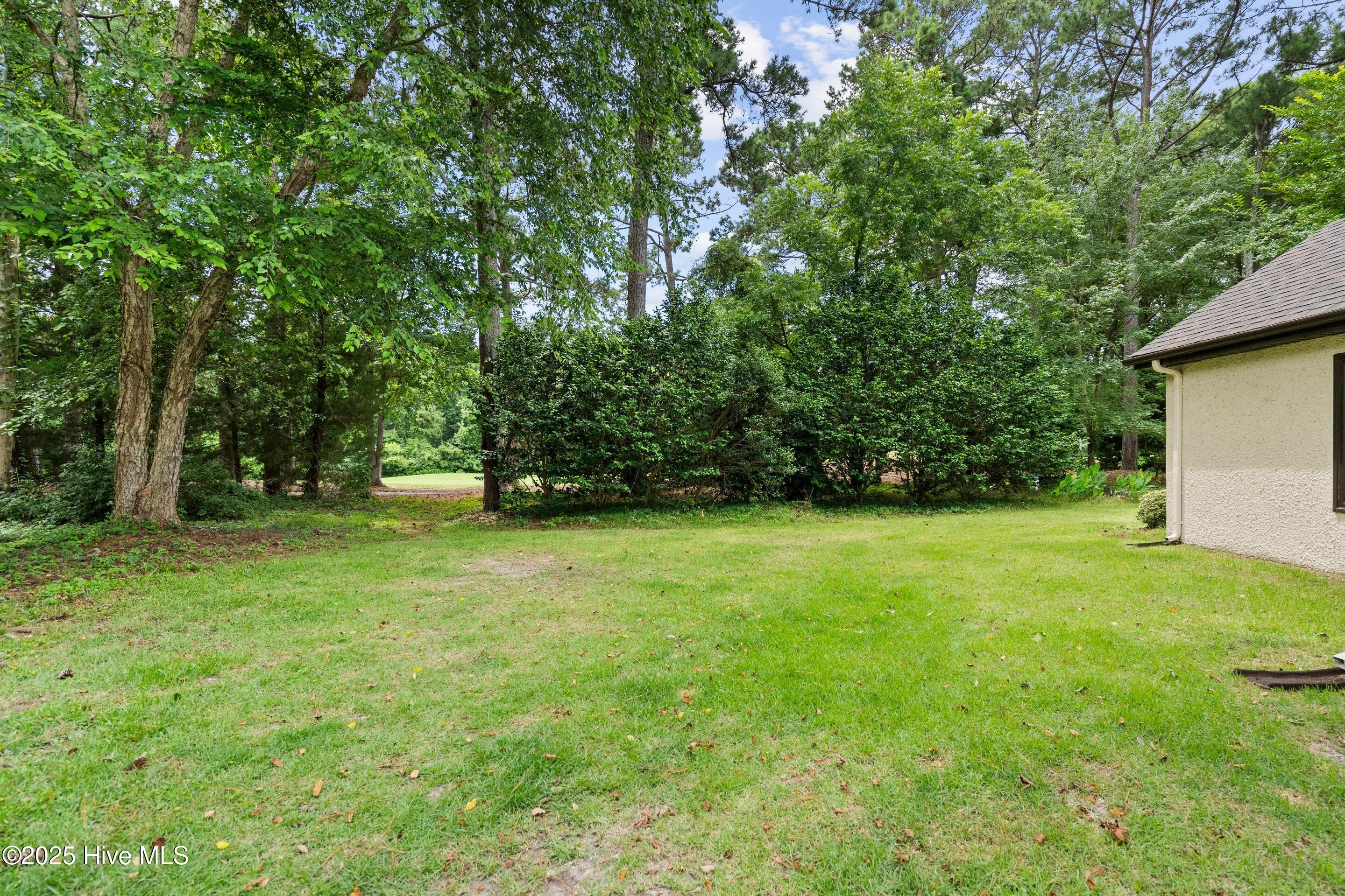 100517106 | Photo 44