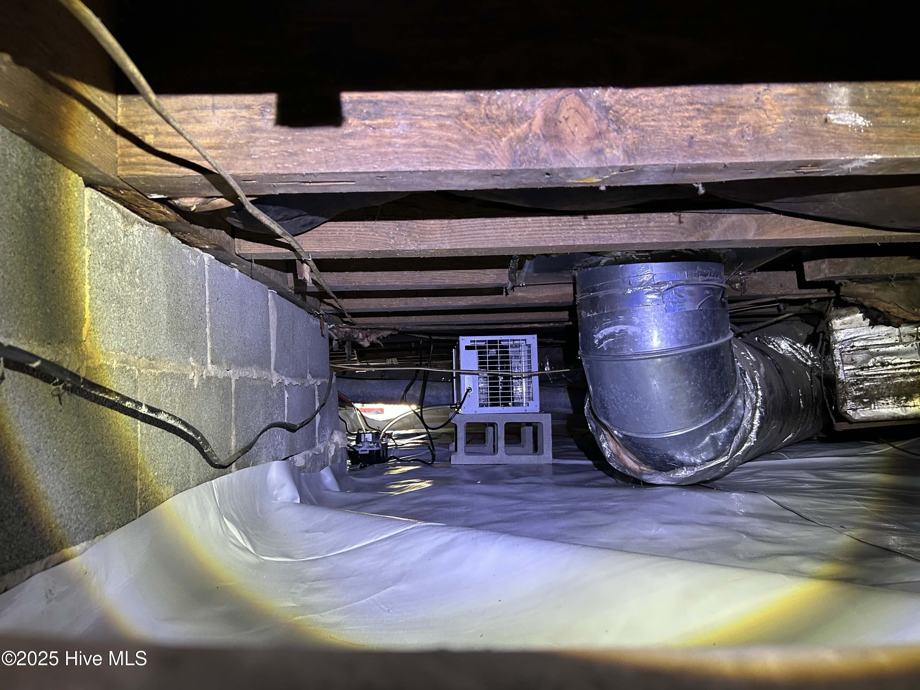 100505864 | Photo 52