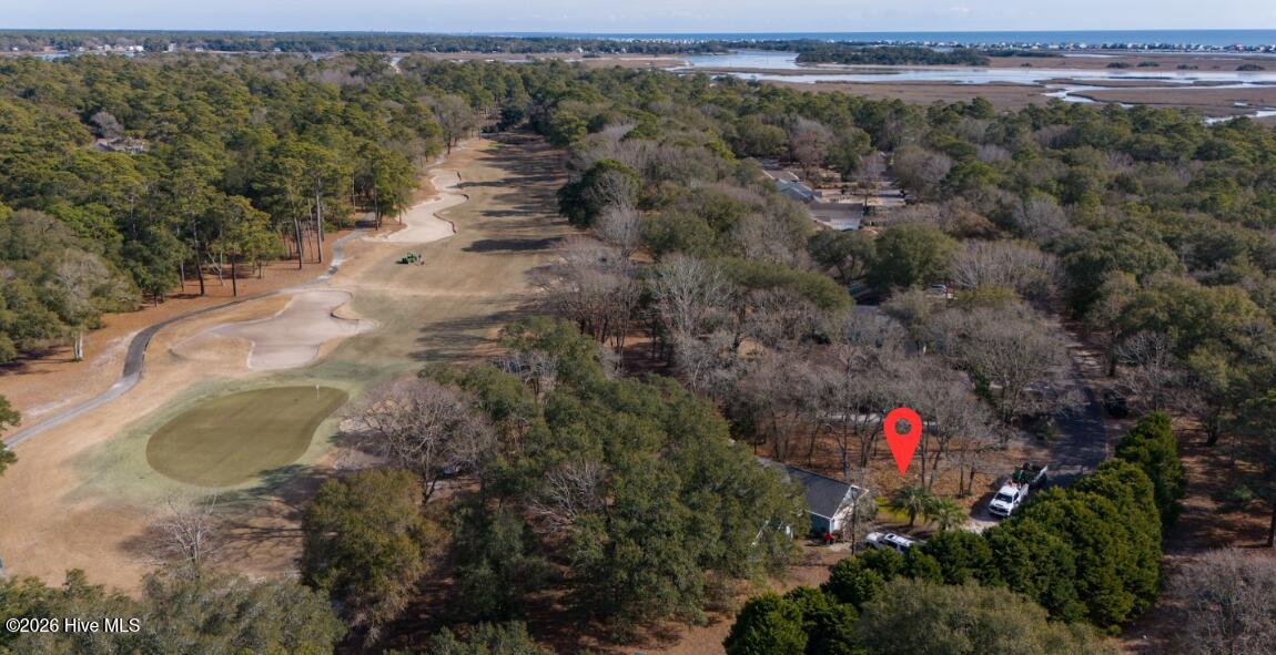 100554365 | Photo 10