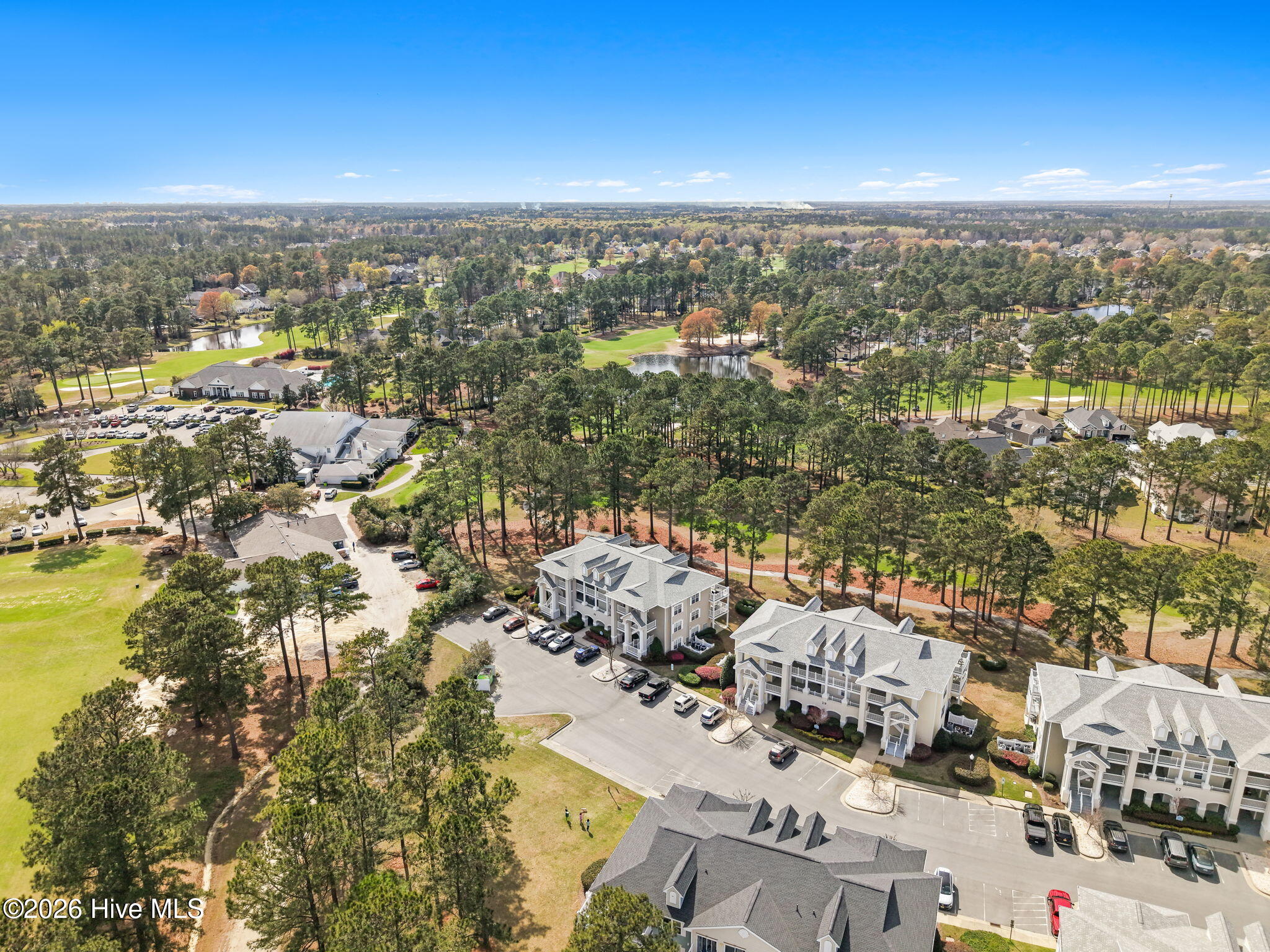 100561971 | Photo 34