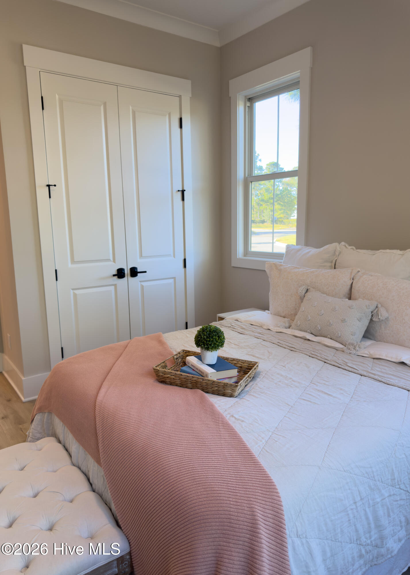 100558184 | Photo 10