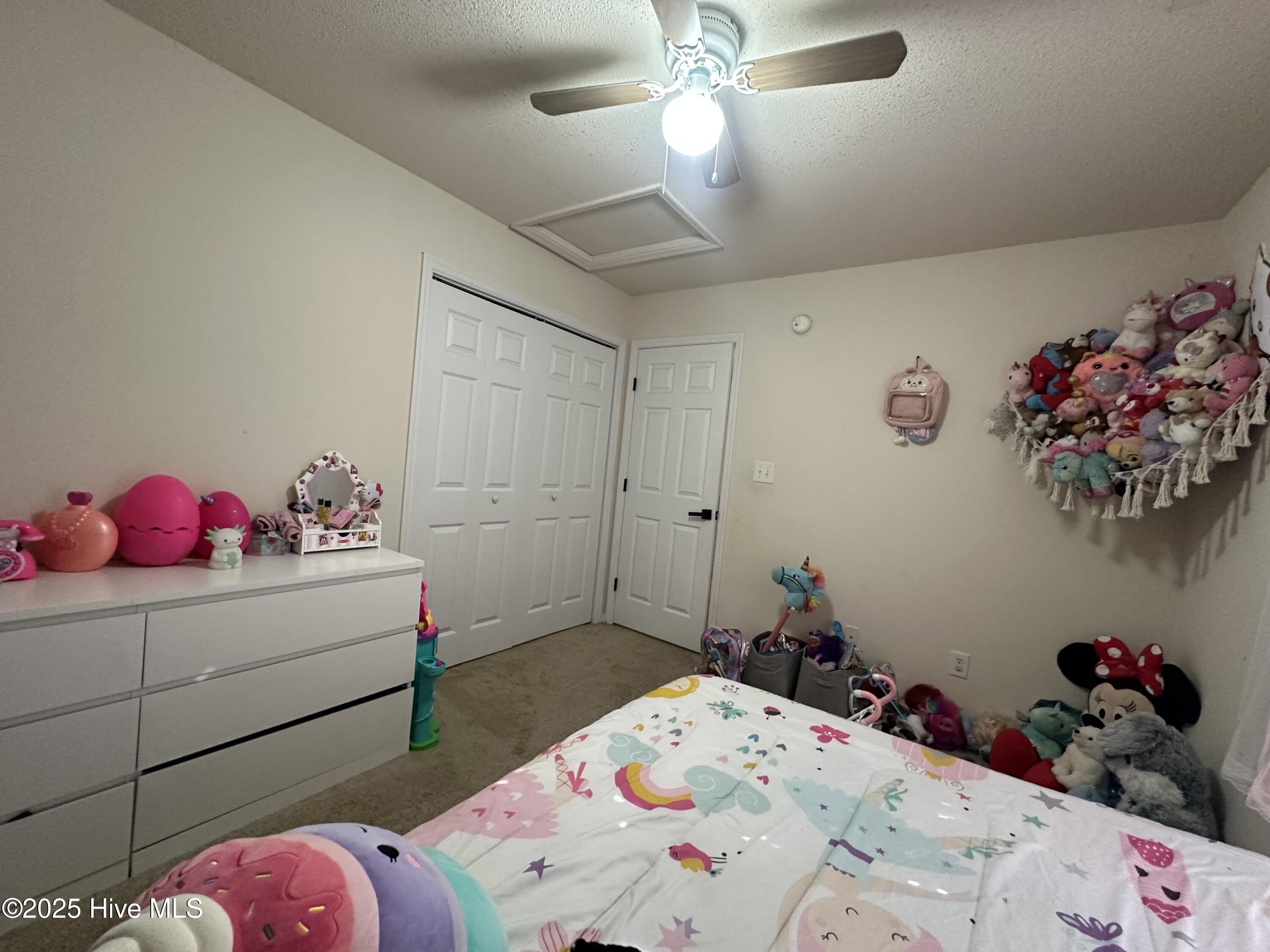 100545130 | Photo 22