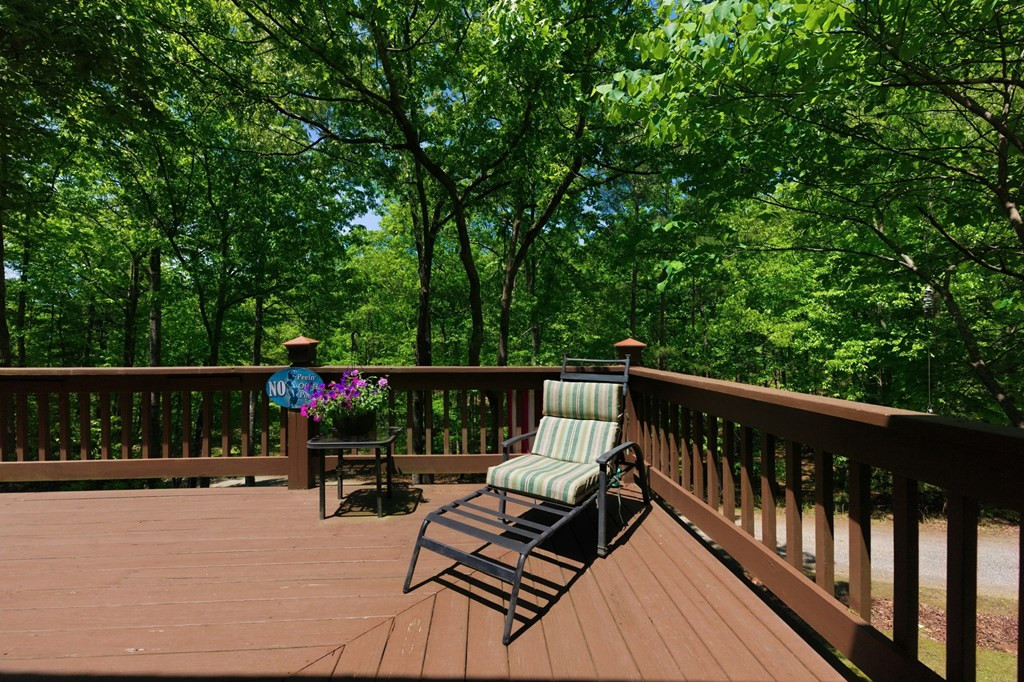 90 Skyland Trail, Murphy, NC 28906 Listing Photo  12