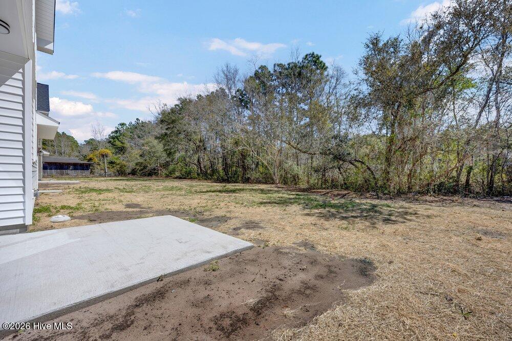 100561461 | Photo 24