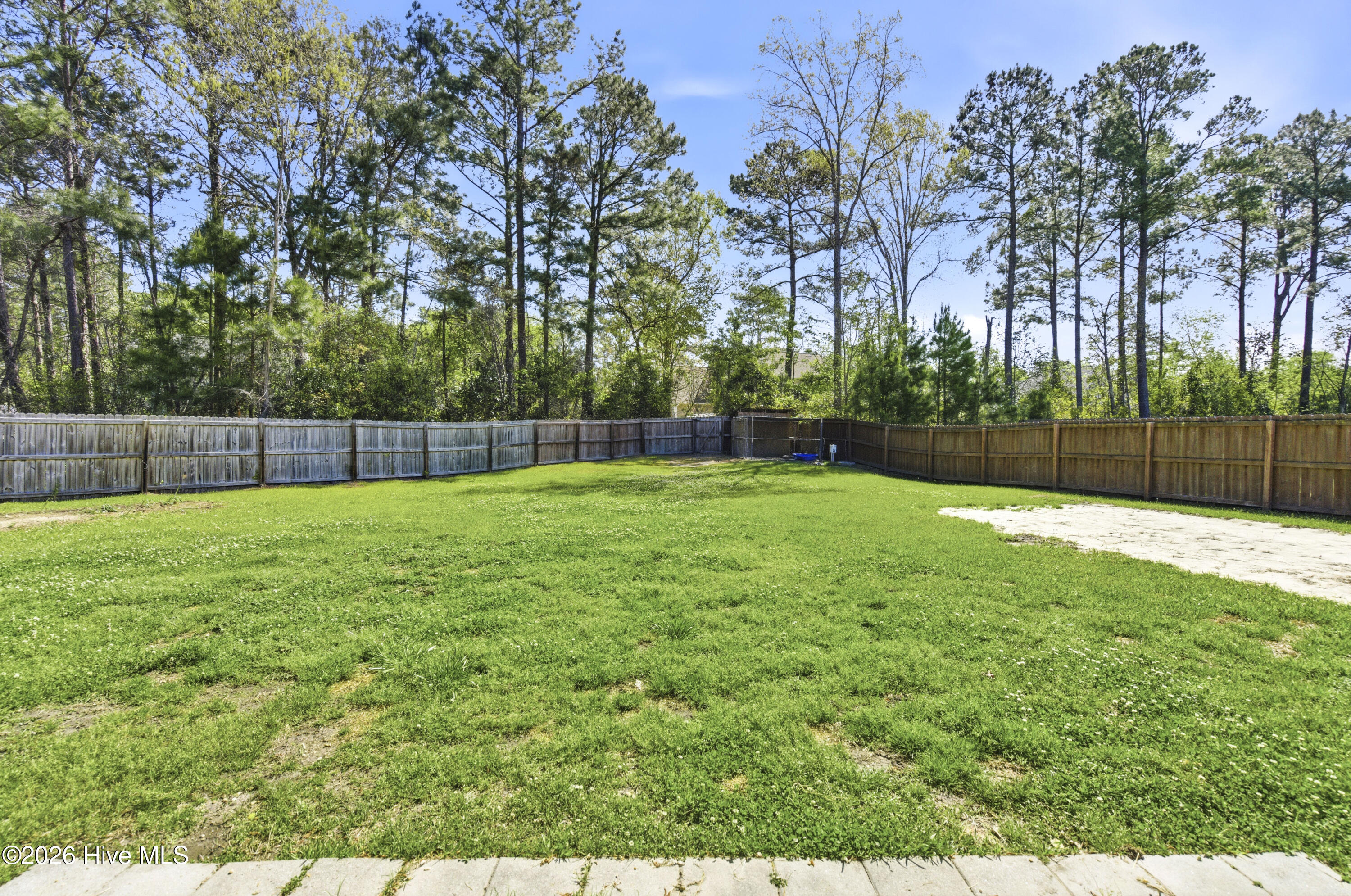 100566364 | Photo 46