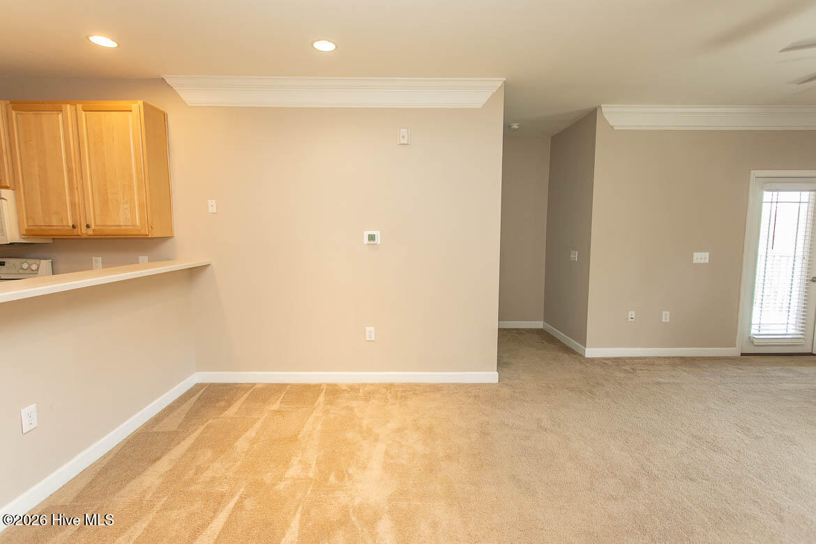 100564838 | Photo 15