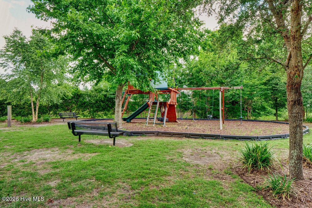 100558129 | Photo 70