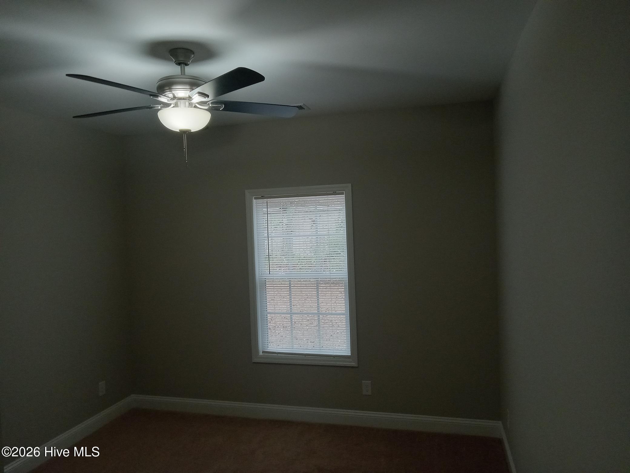 100521963 | Photo 20