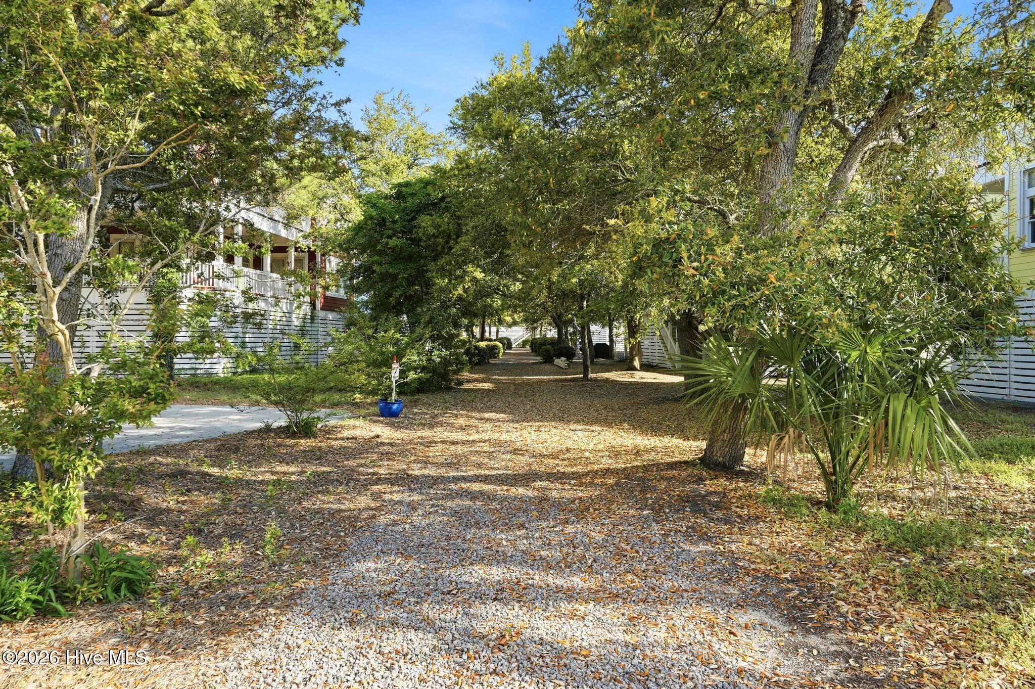 100565841 | Photo 17