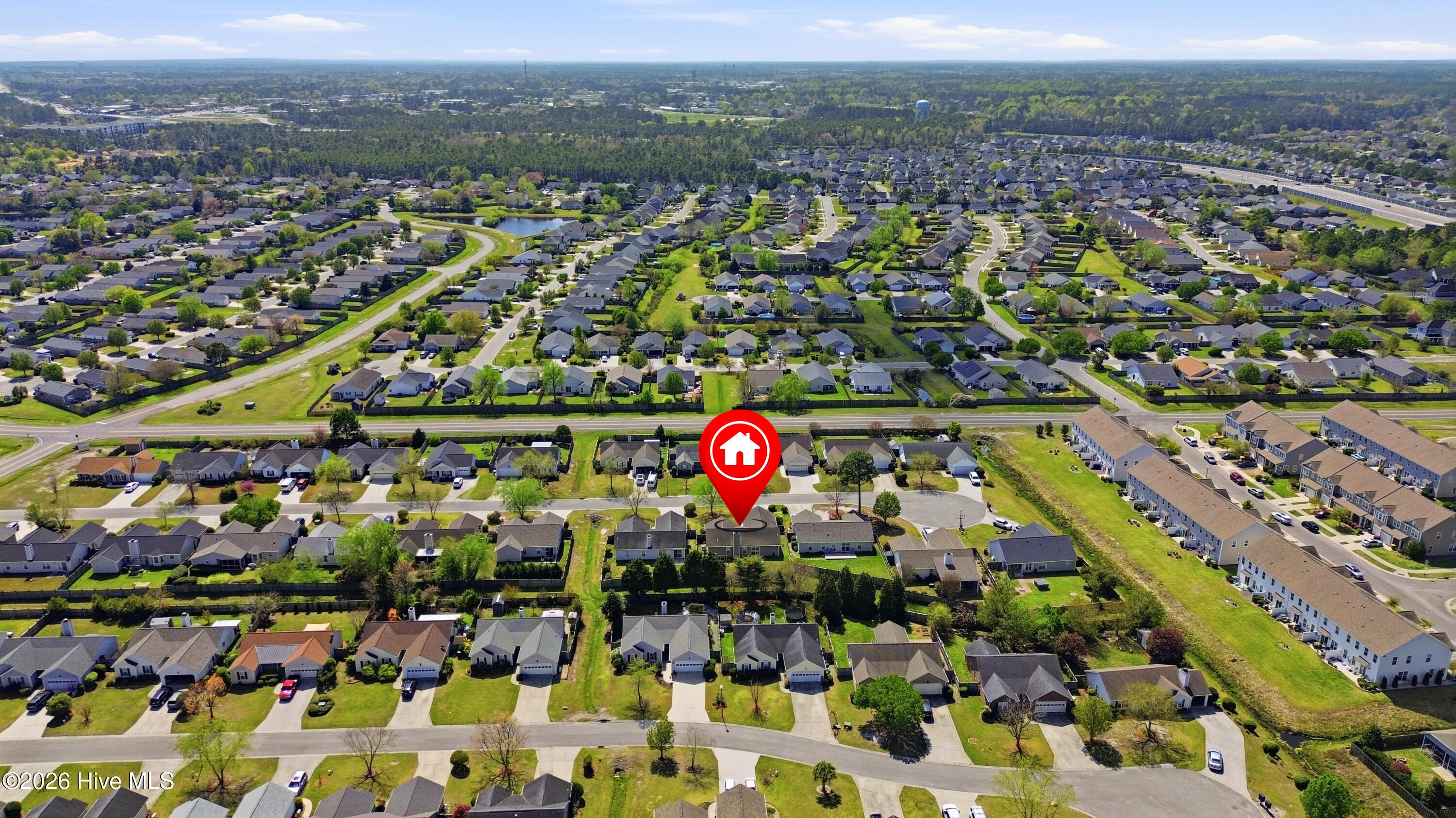 100564031 | Photo 41