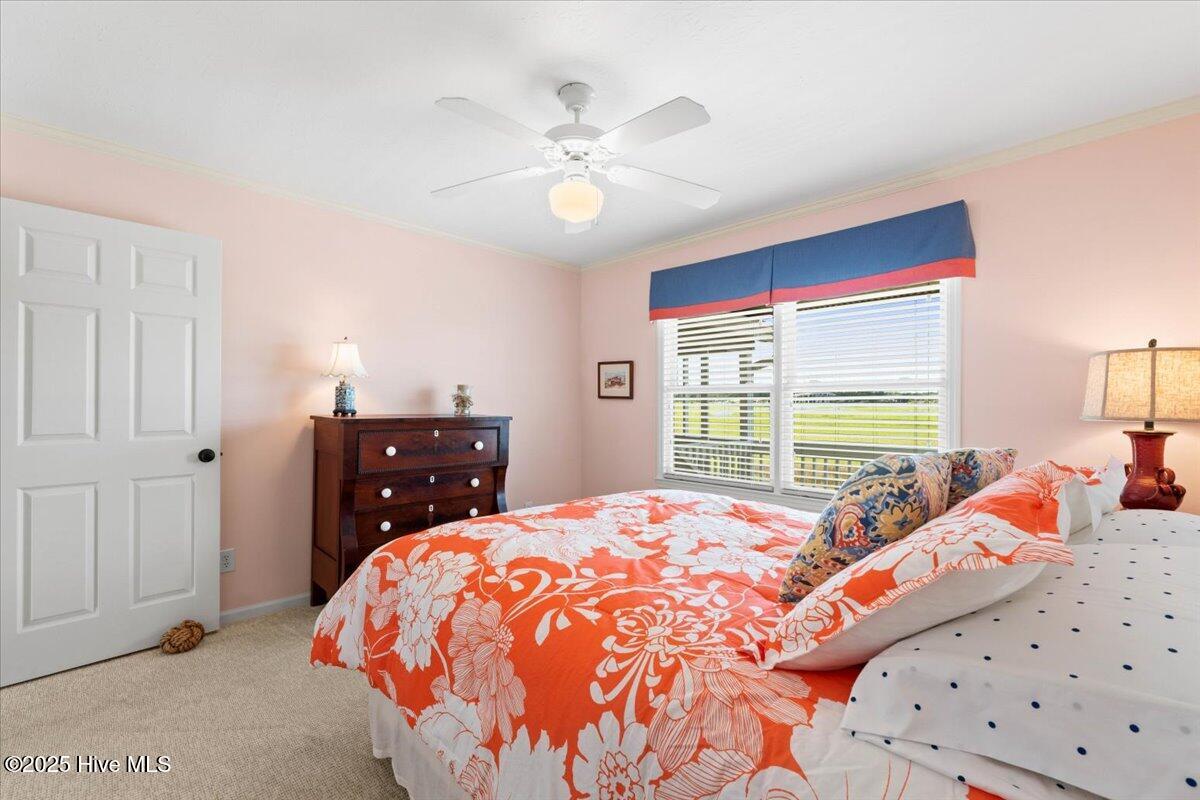 100548122 | Photo 26