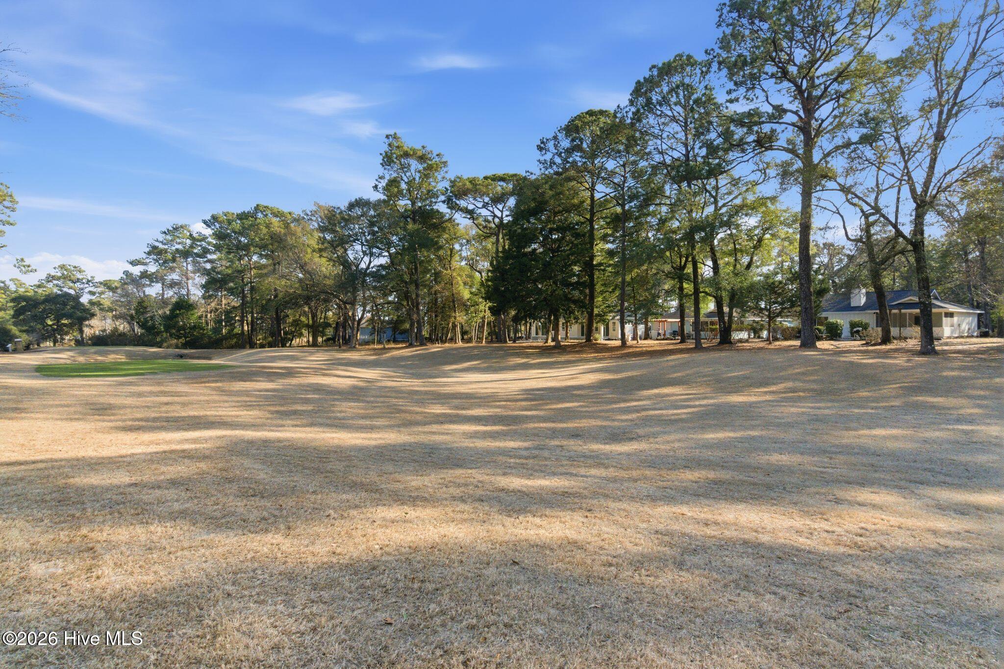 100555481 | Photo 65