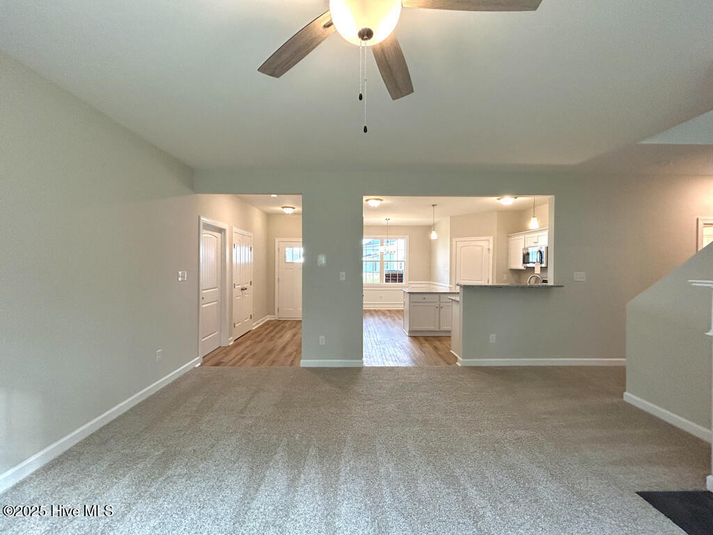 100537397 | Photo 25